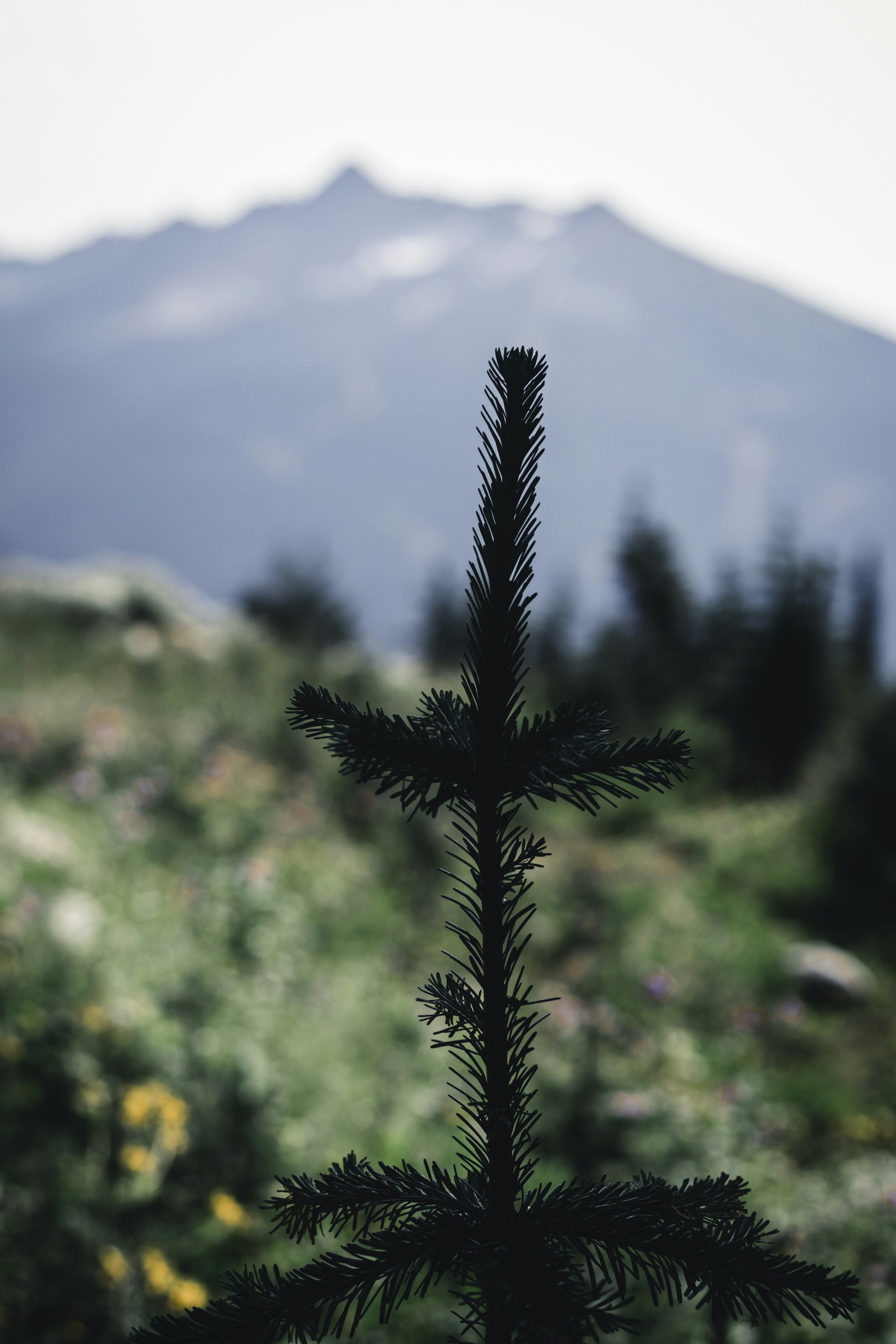 Photo by lureofadventure