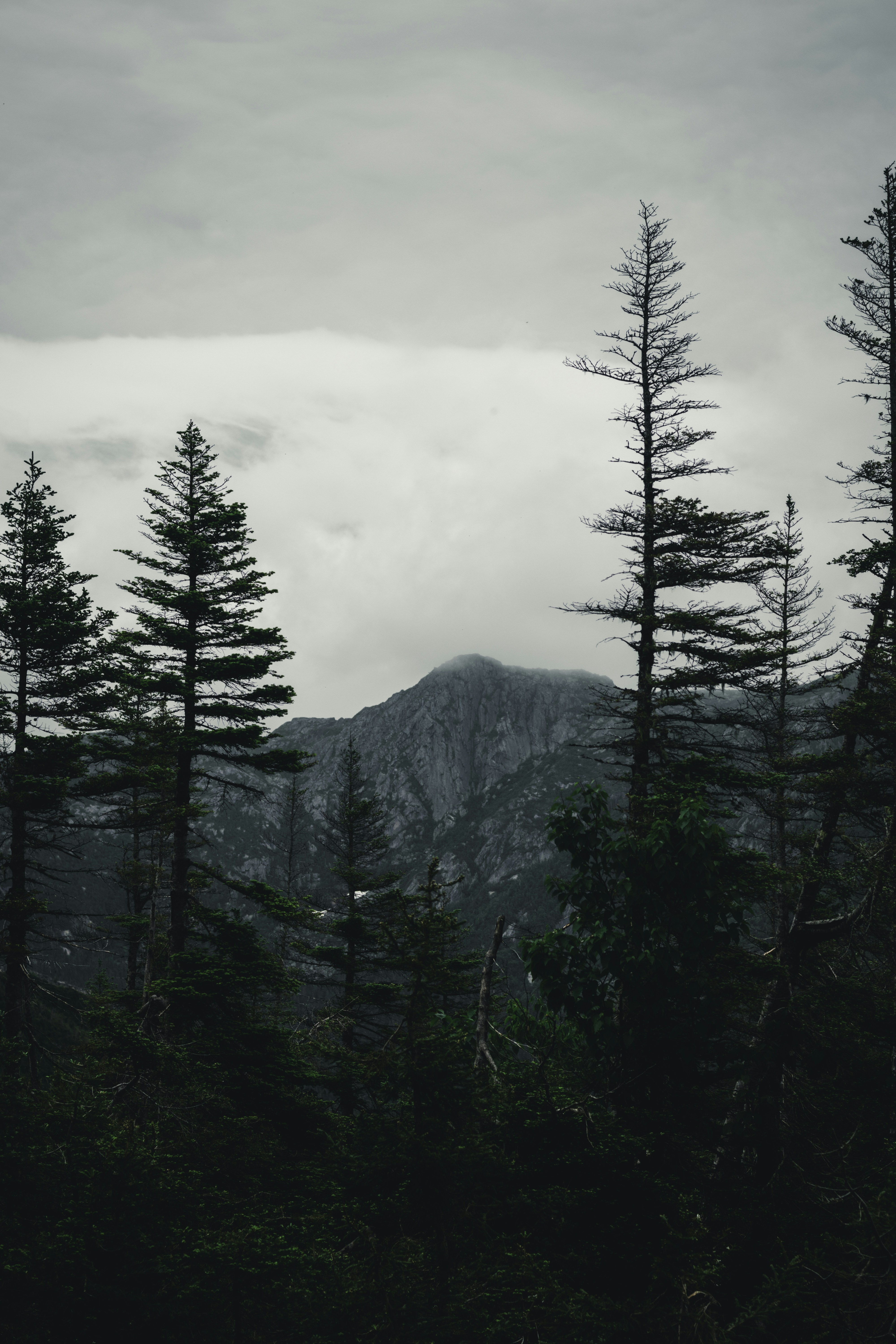 Photo by lureofadventure