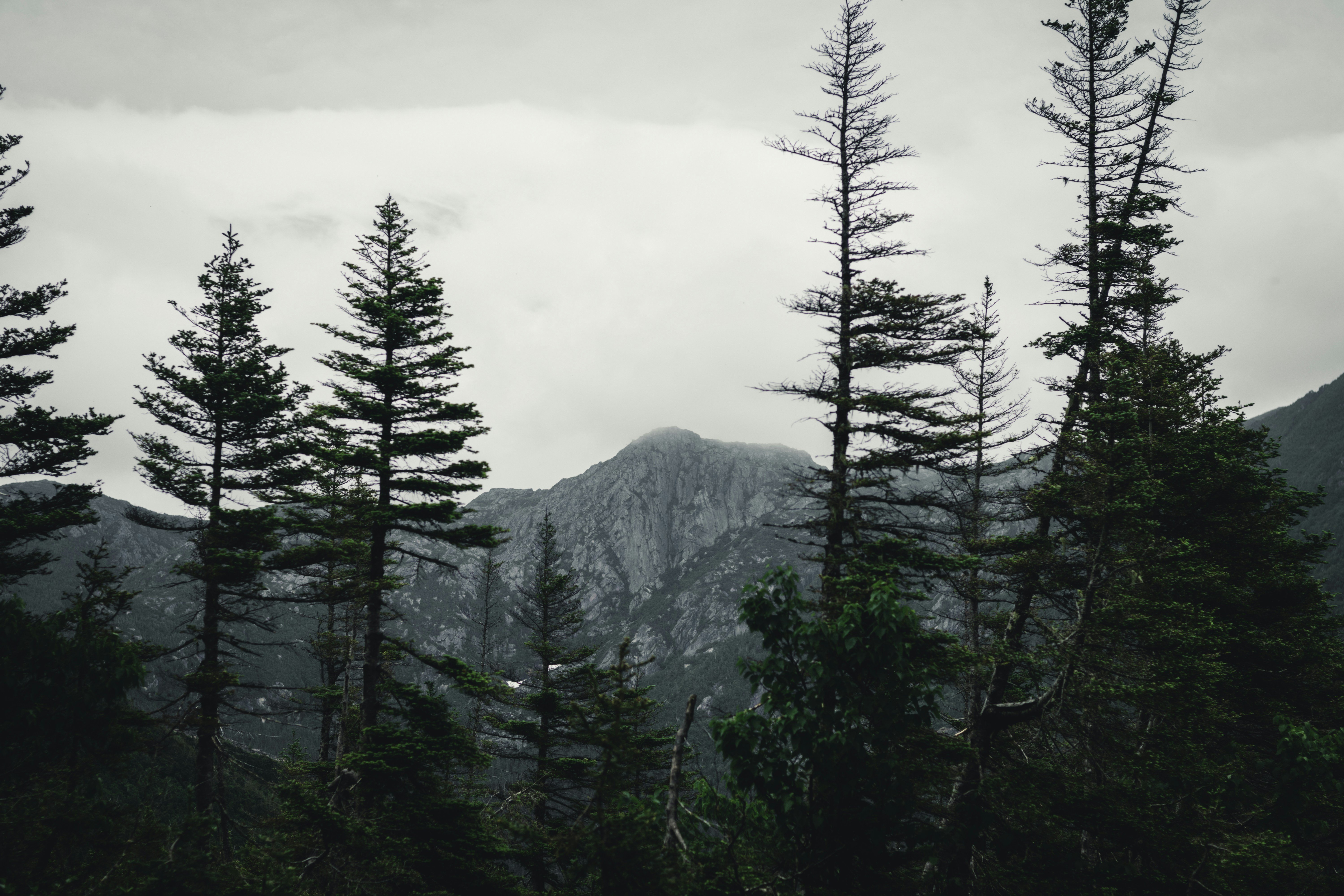 Photo by lureofadventure