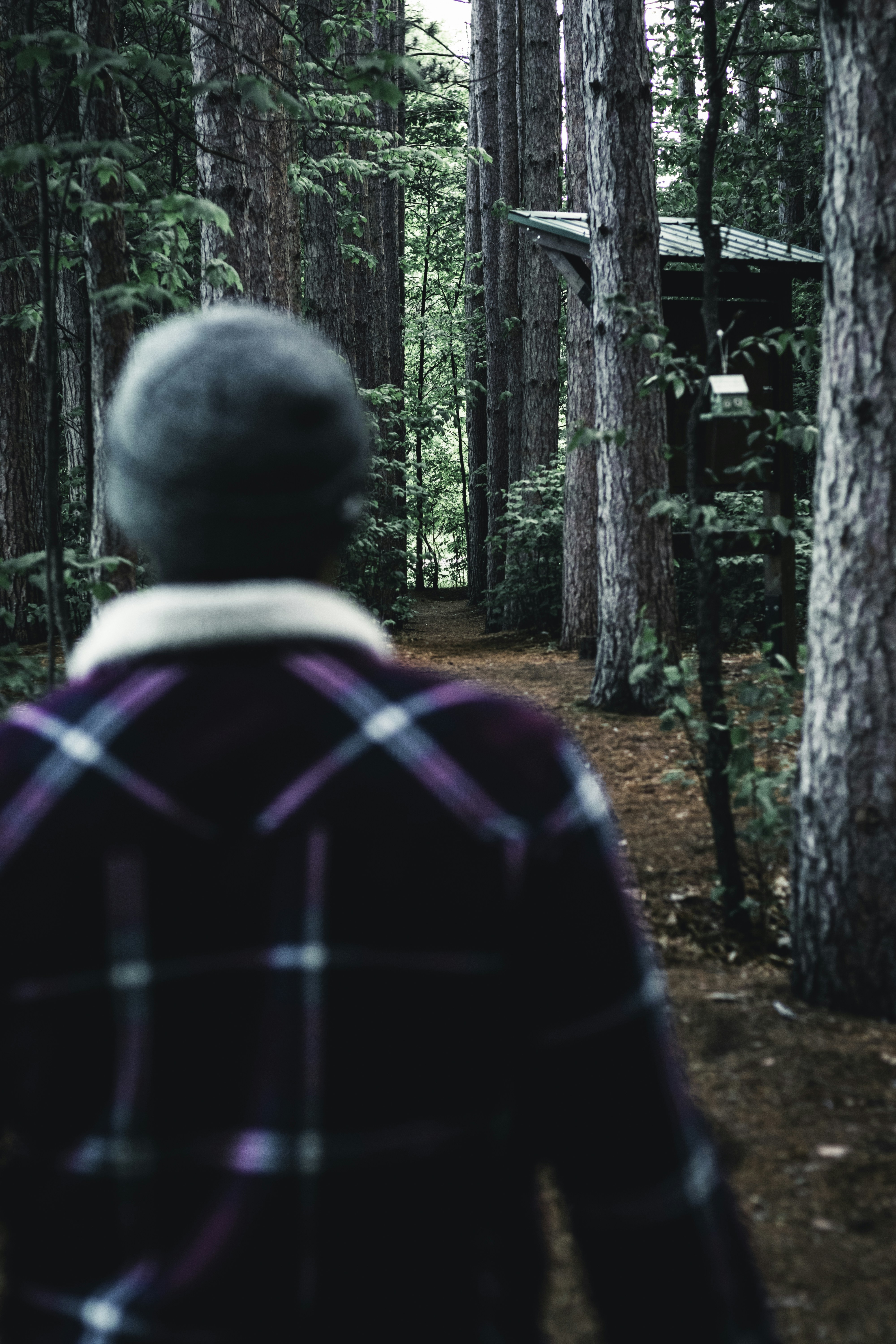 Photo by lureofadventure