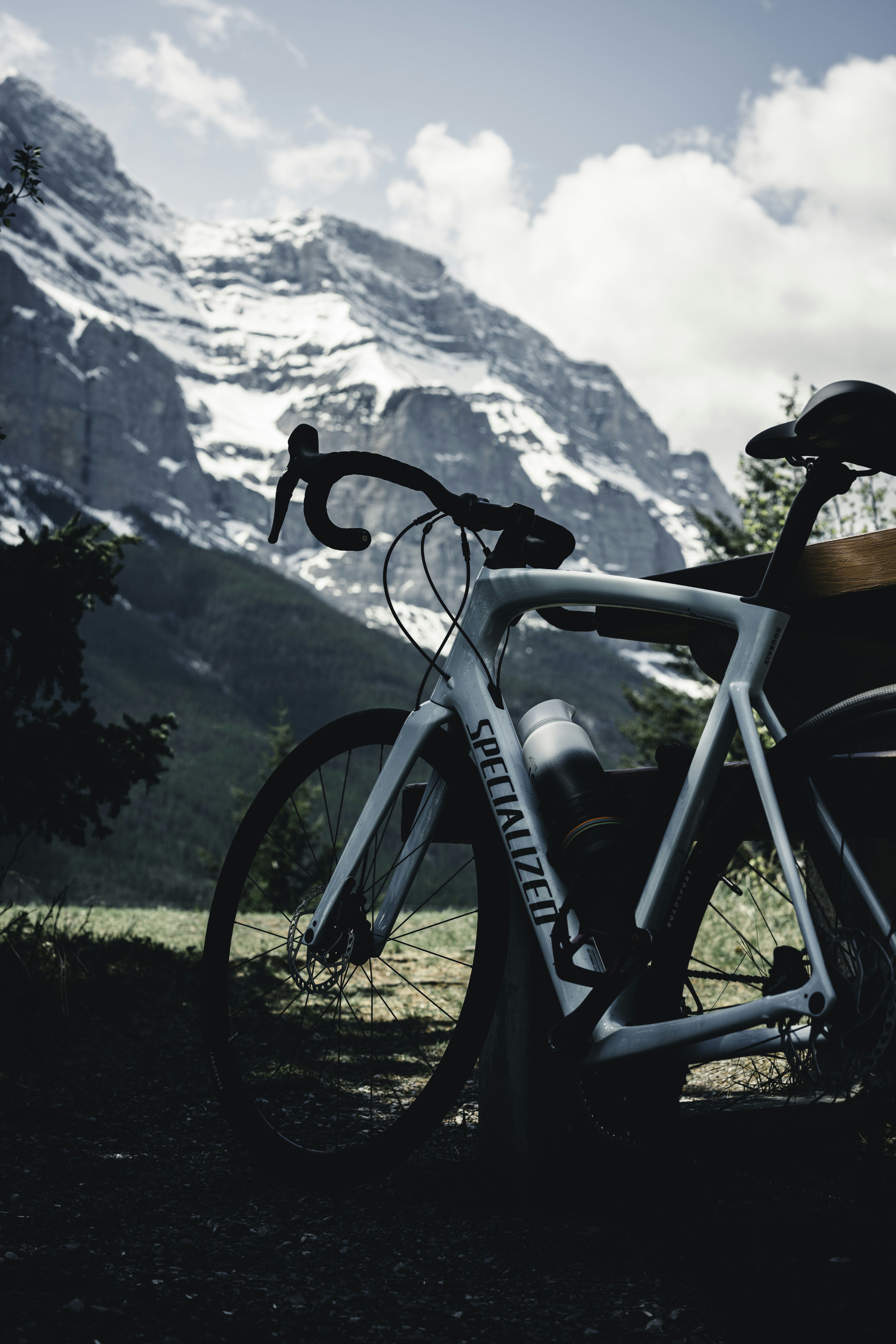 a bicycle parked in the grass with a mountain in the background