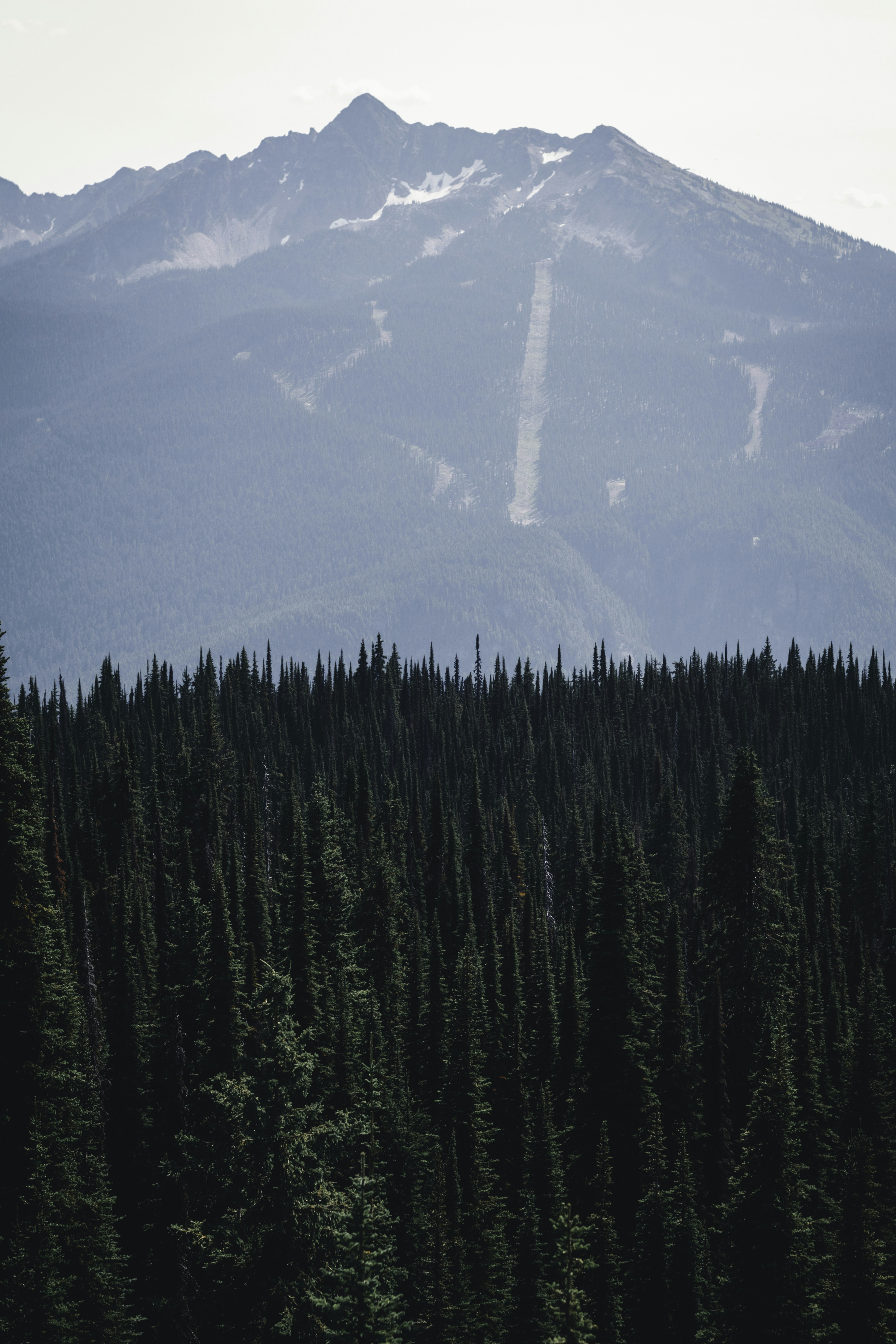 Photo by lureofadventure