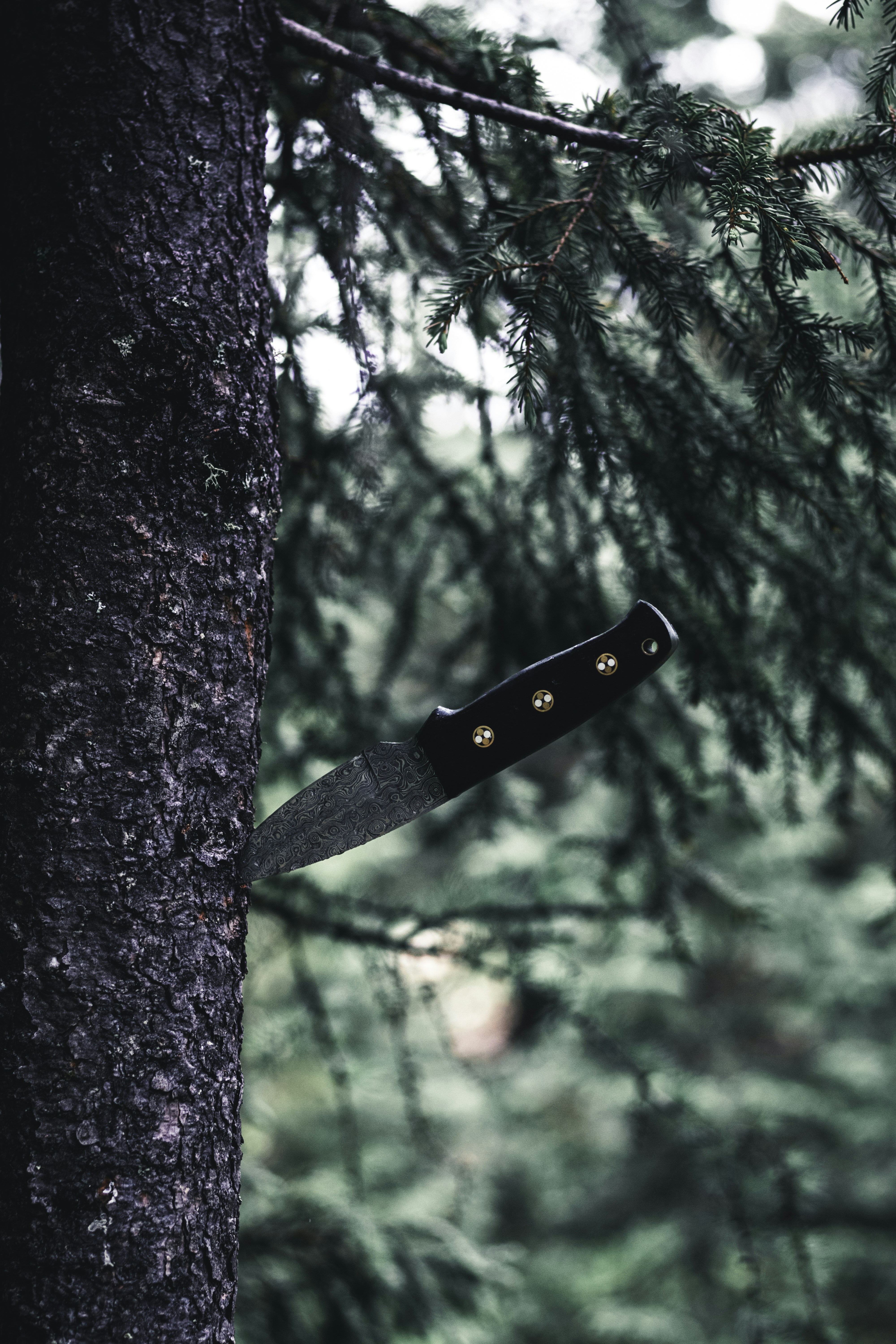 Photo by lureofadventure