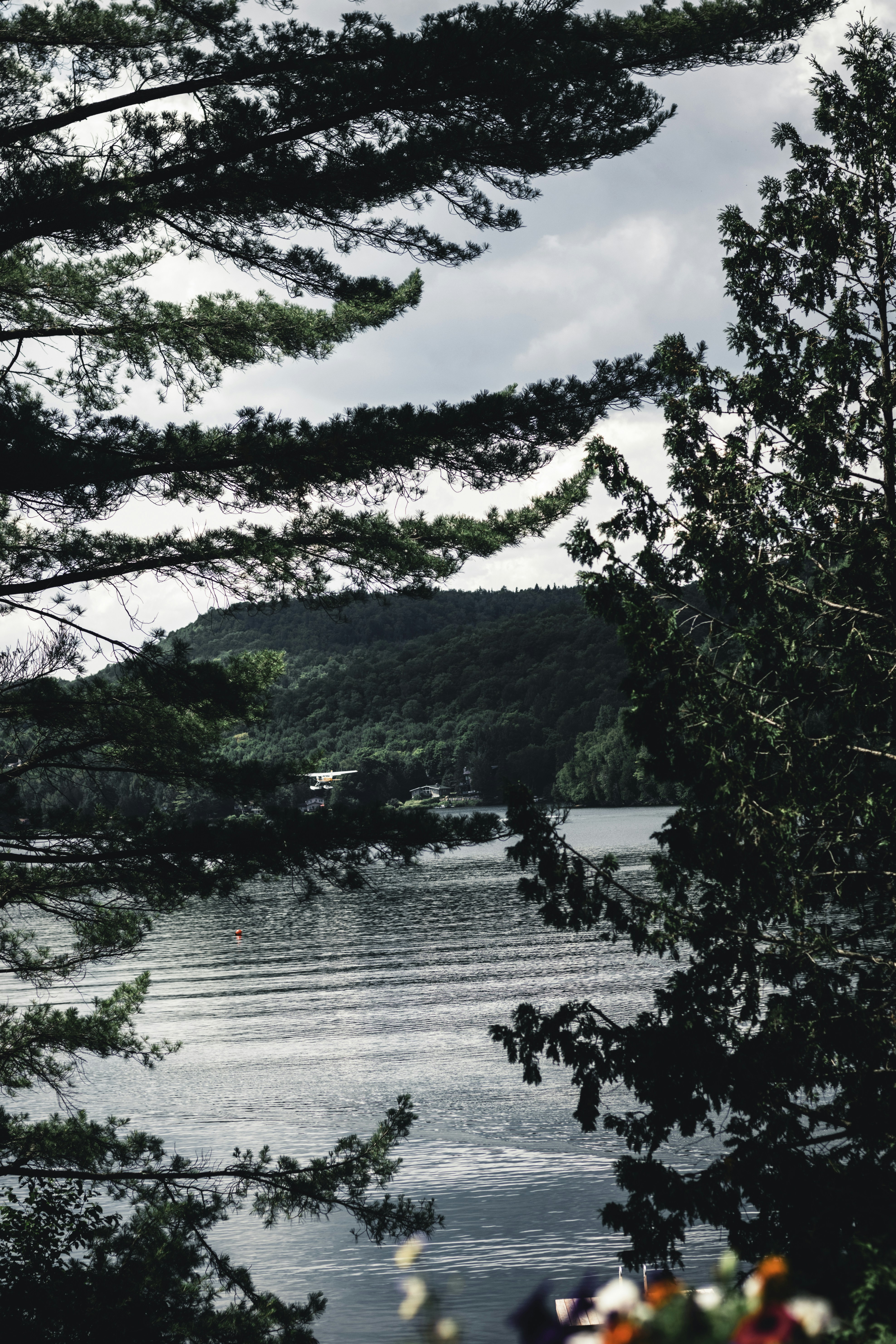 Photo by lureofadventure