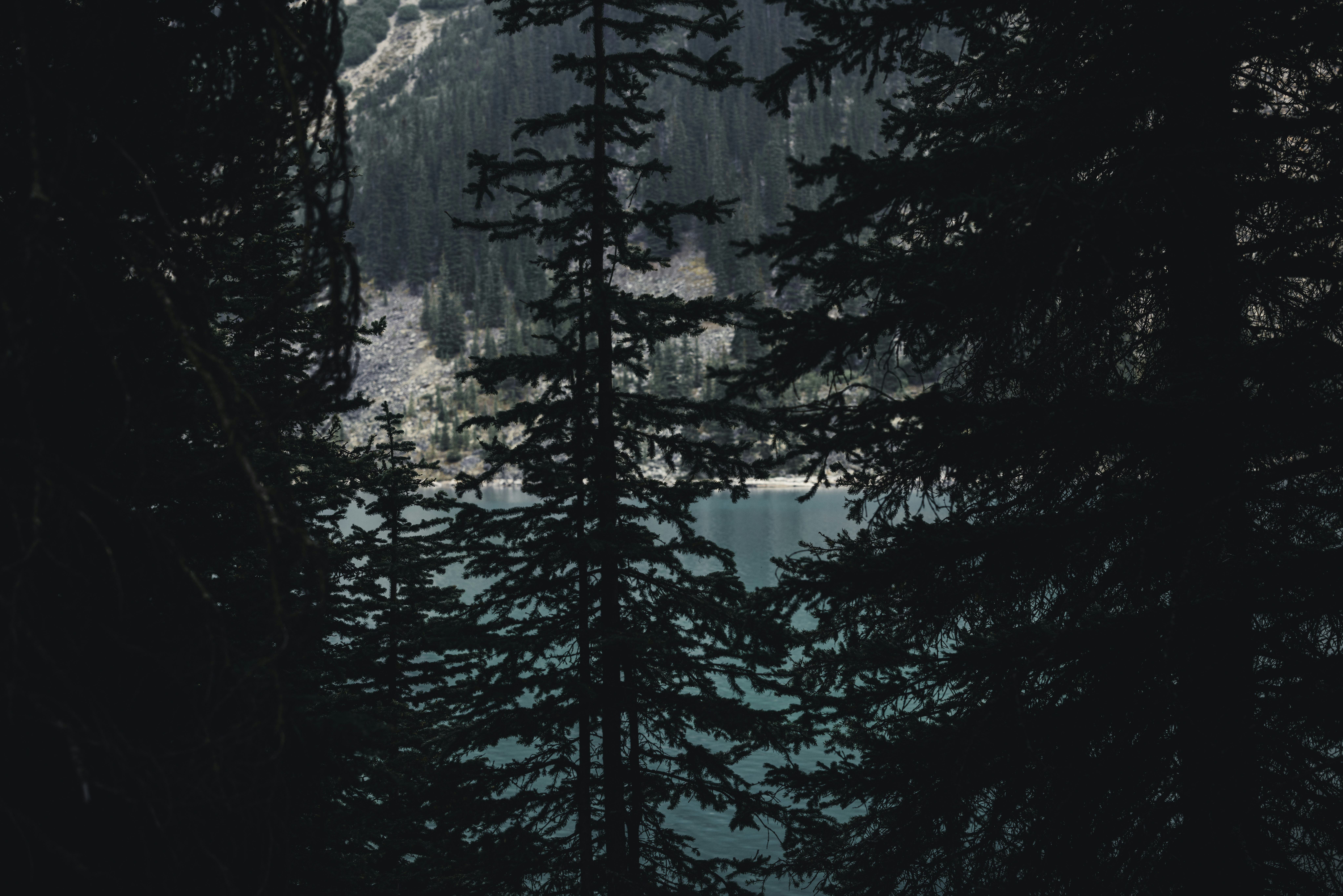 Photo by lureofadventure