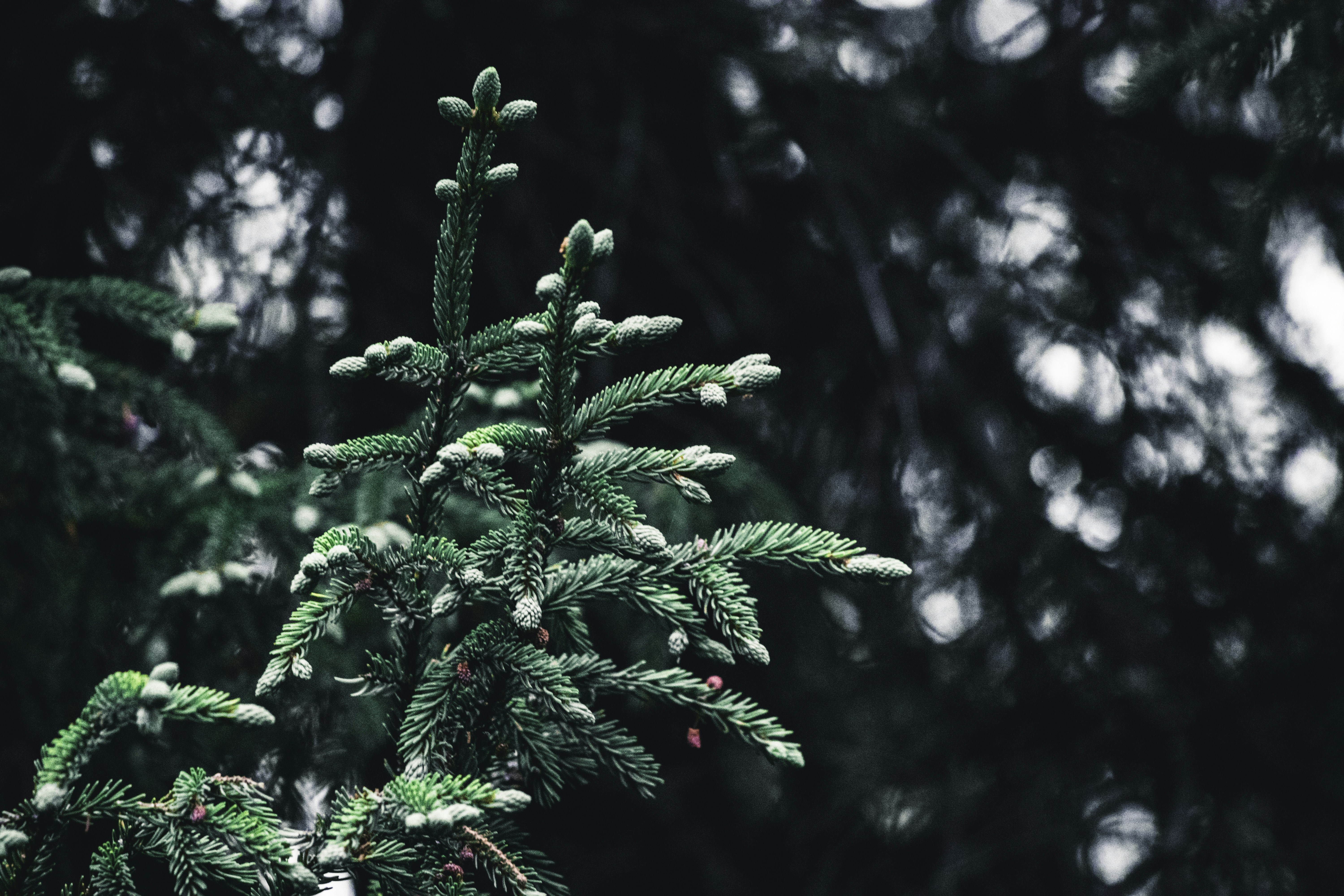 Photo by lureofadventure