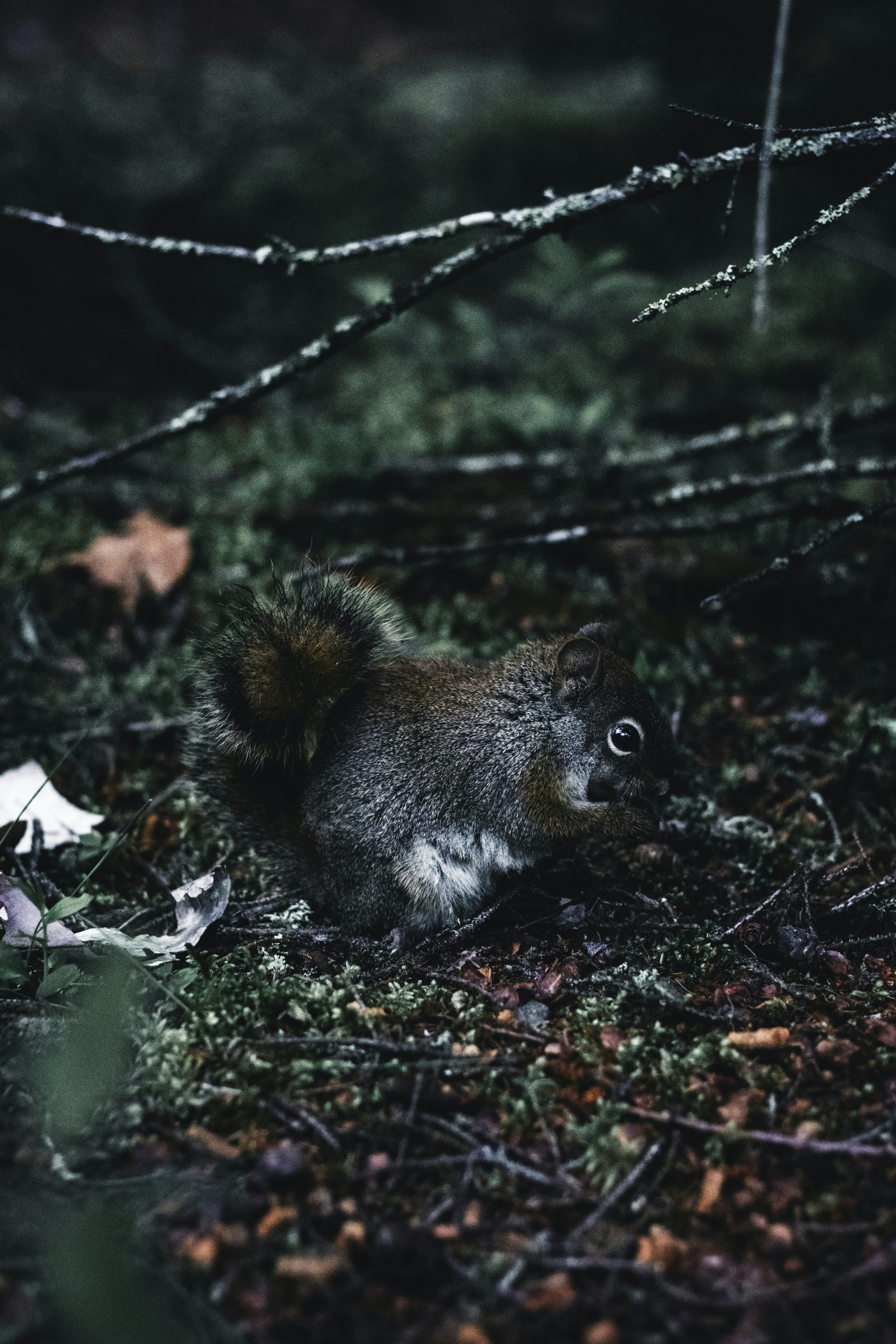 Photo by lureofadventure