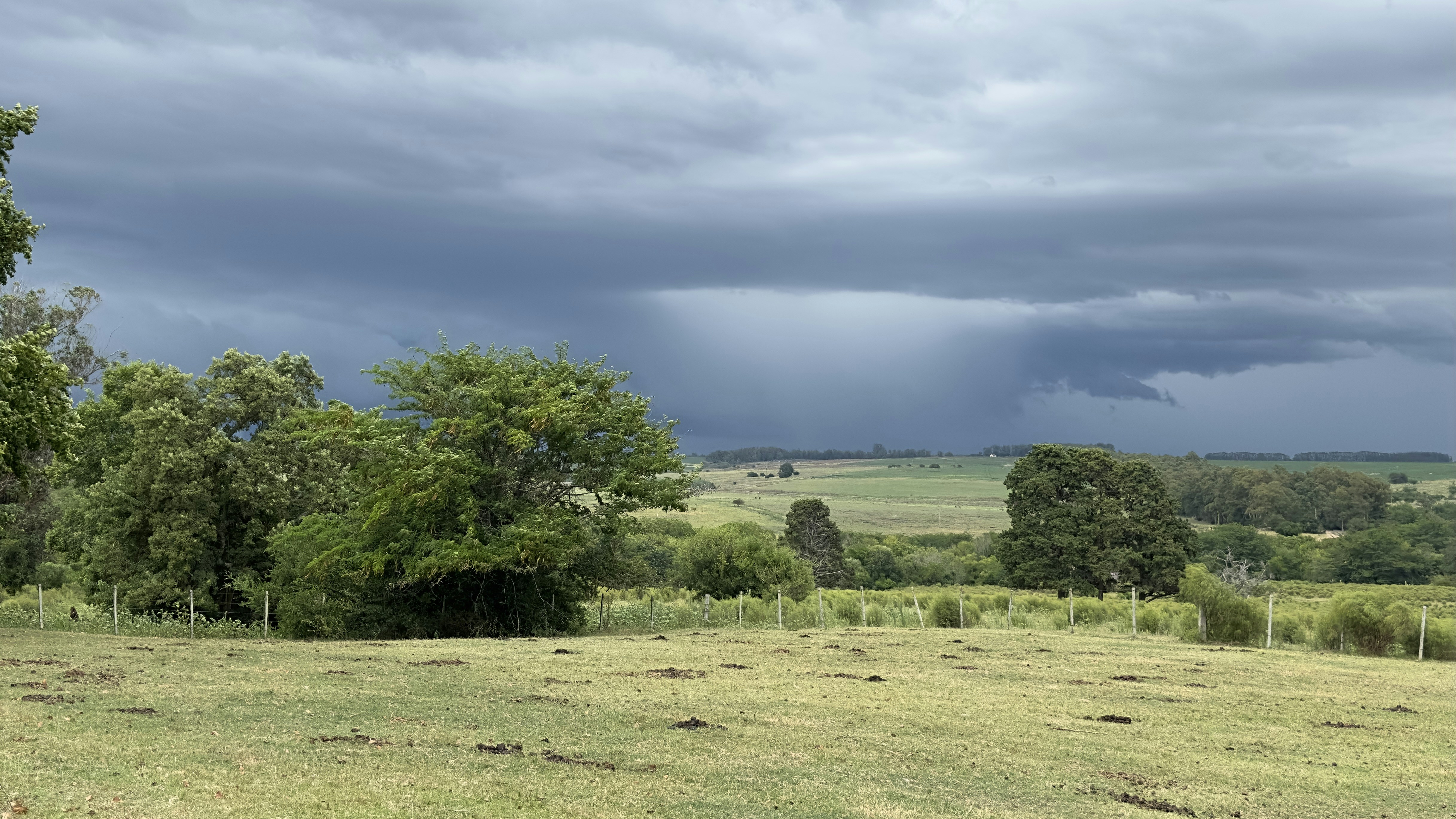 Photo by carlosm3011