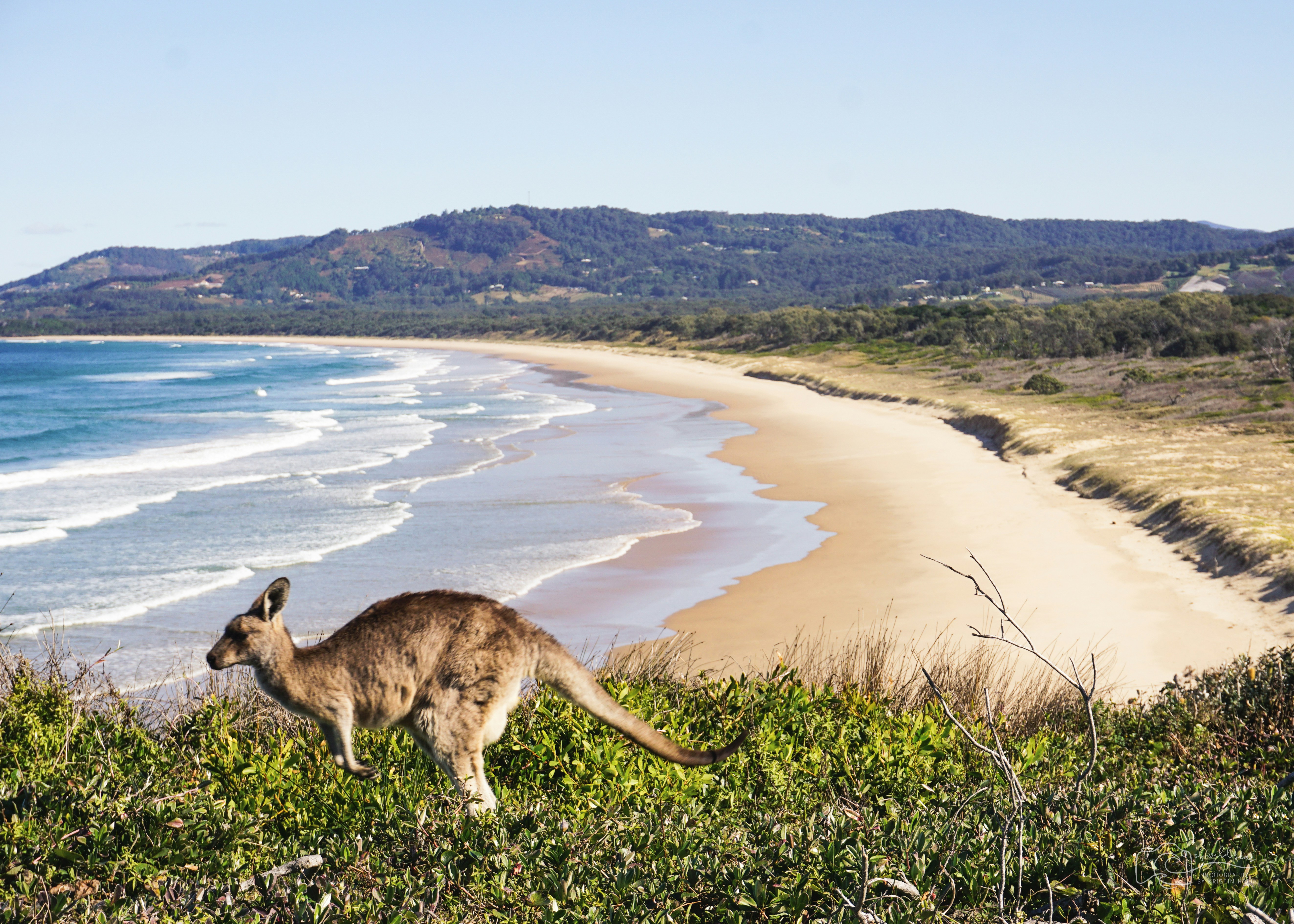 Stunning coastal landscape in South Australia with dramatic cliffs and turquoise water, representing the adventure that awaits.