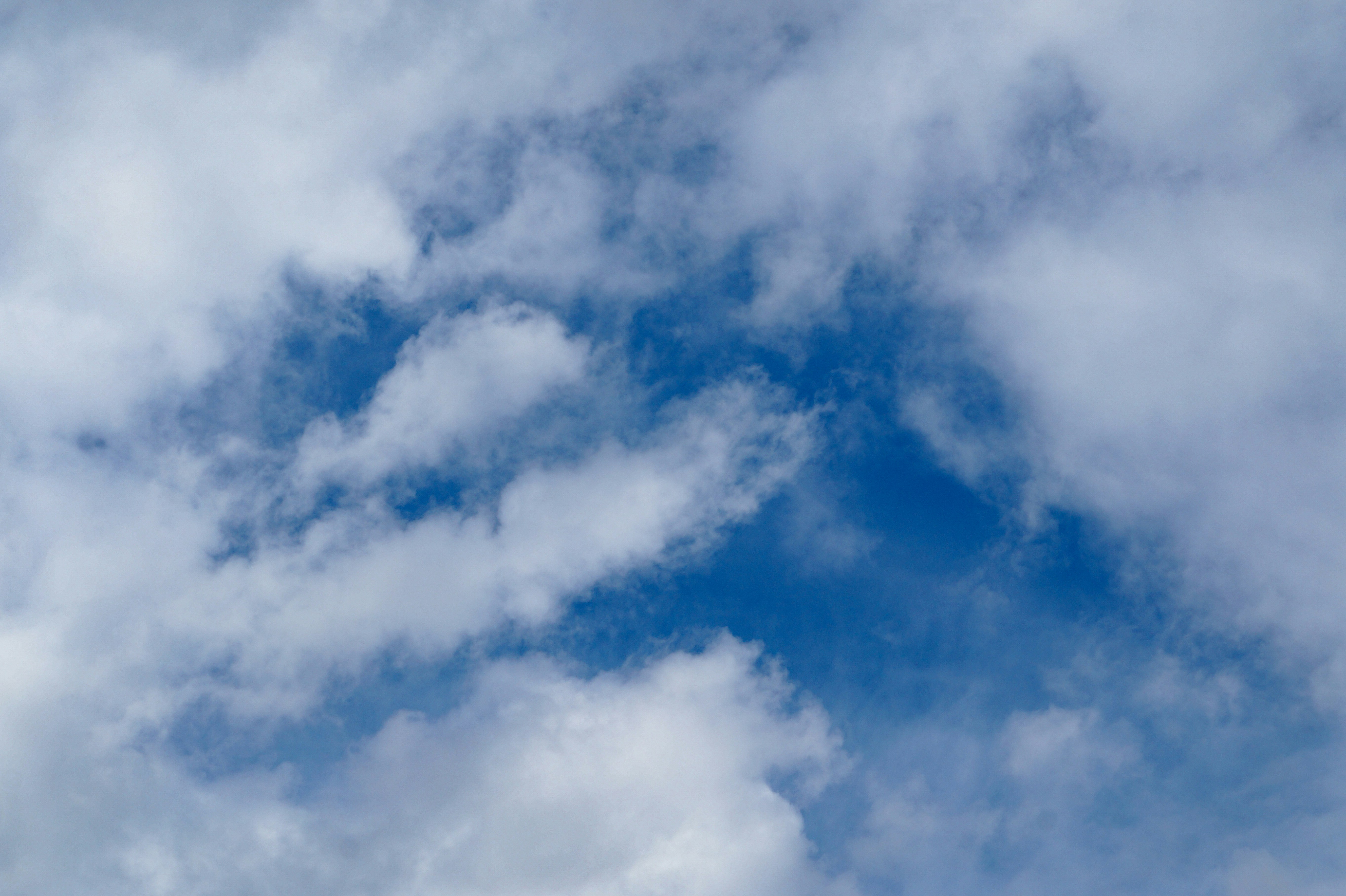 Photo by eirenethoms