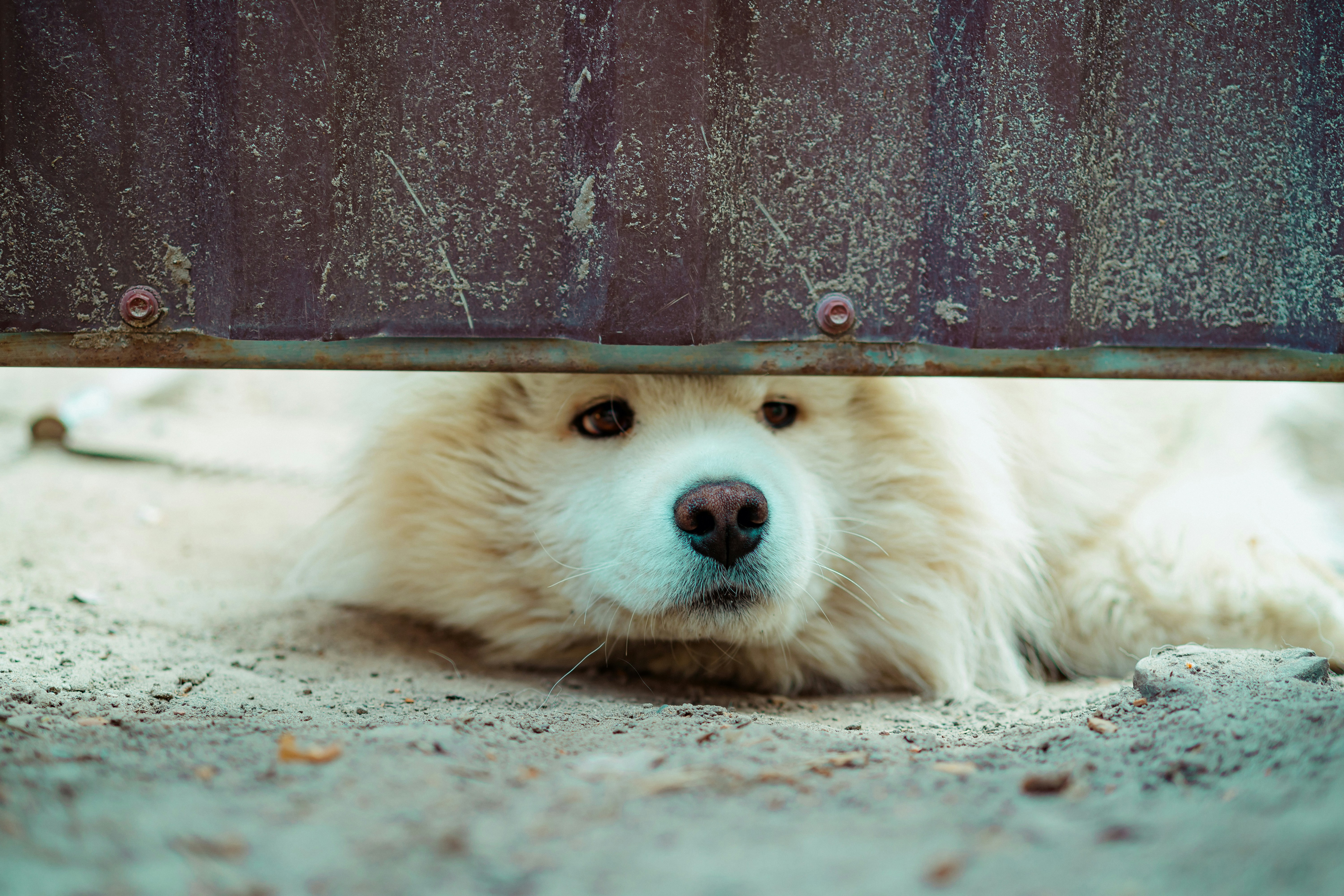 Photo by anamnesis33