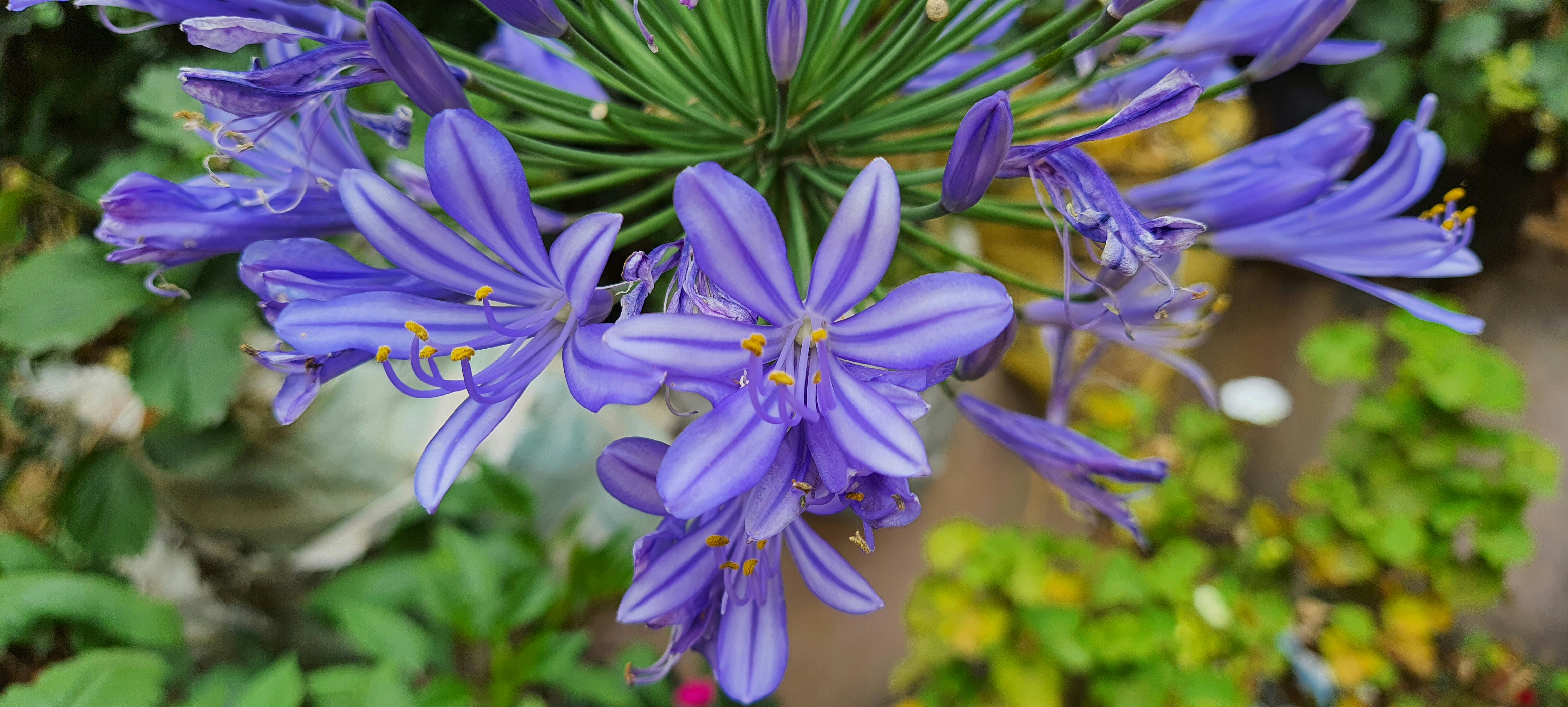 Photo by rajeshbhattarai