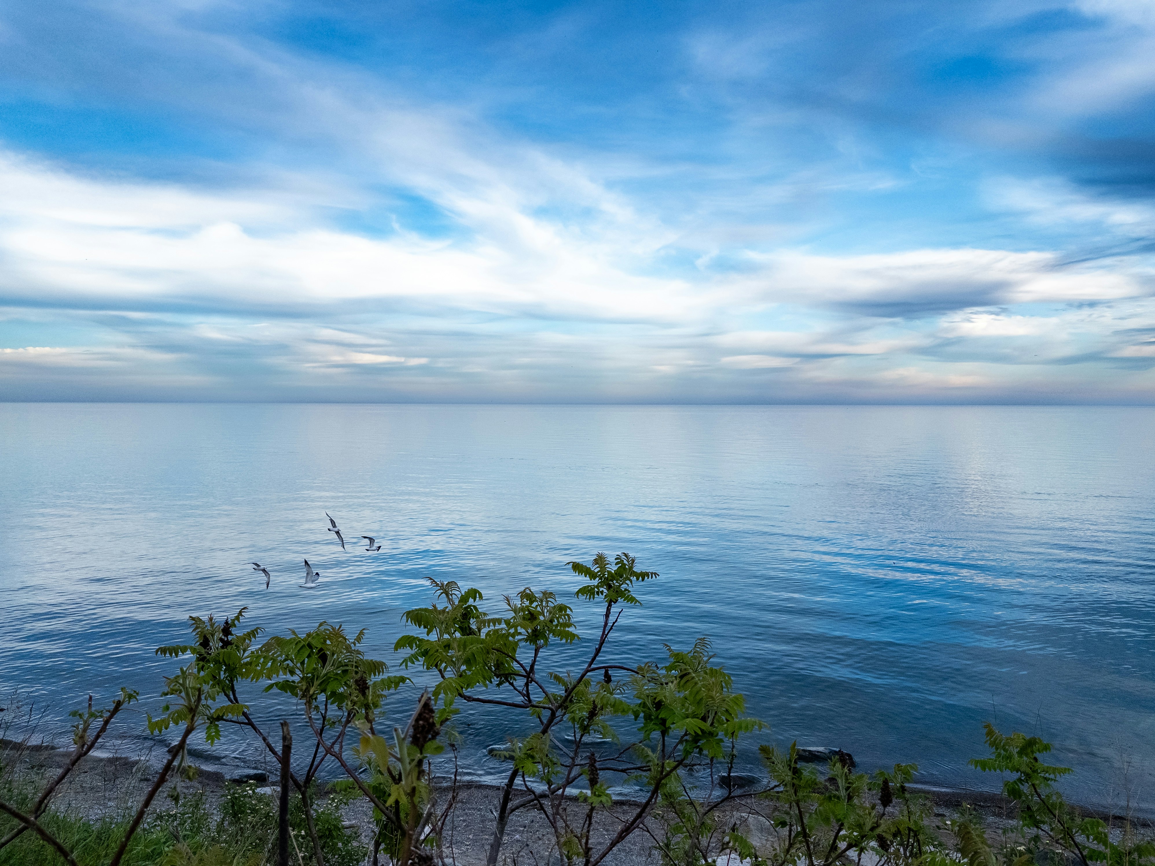 Photo by vegie_photo