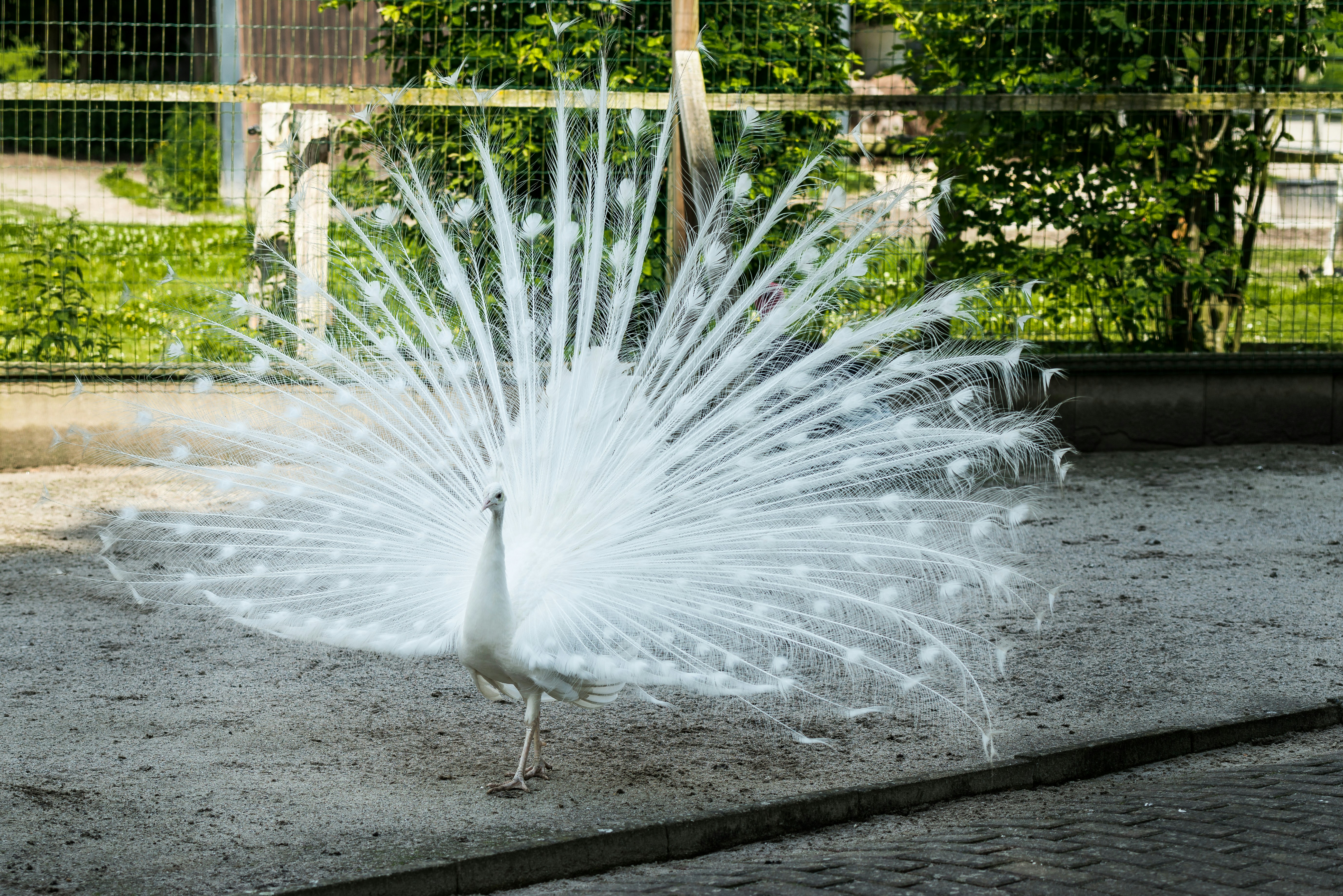 Photo by hamburgmeinefreundin