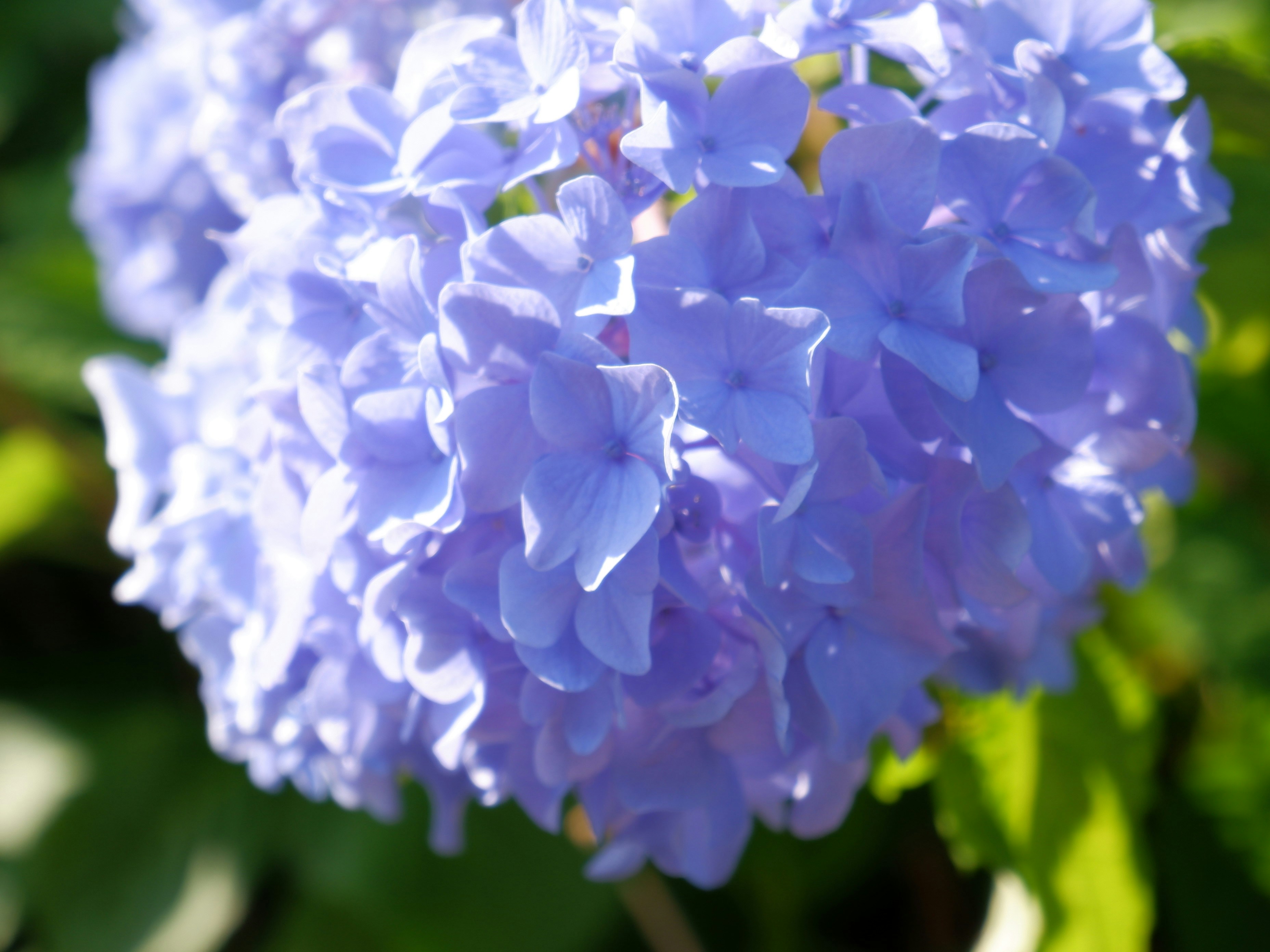 Photo by 365_new_chances