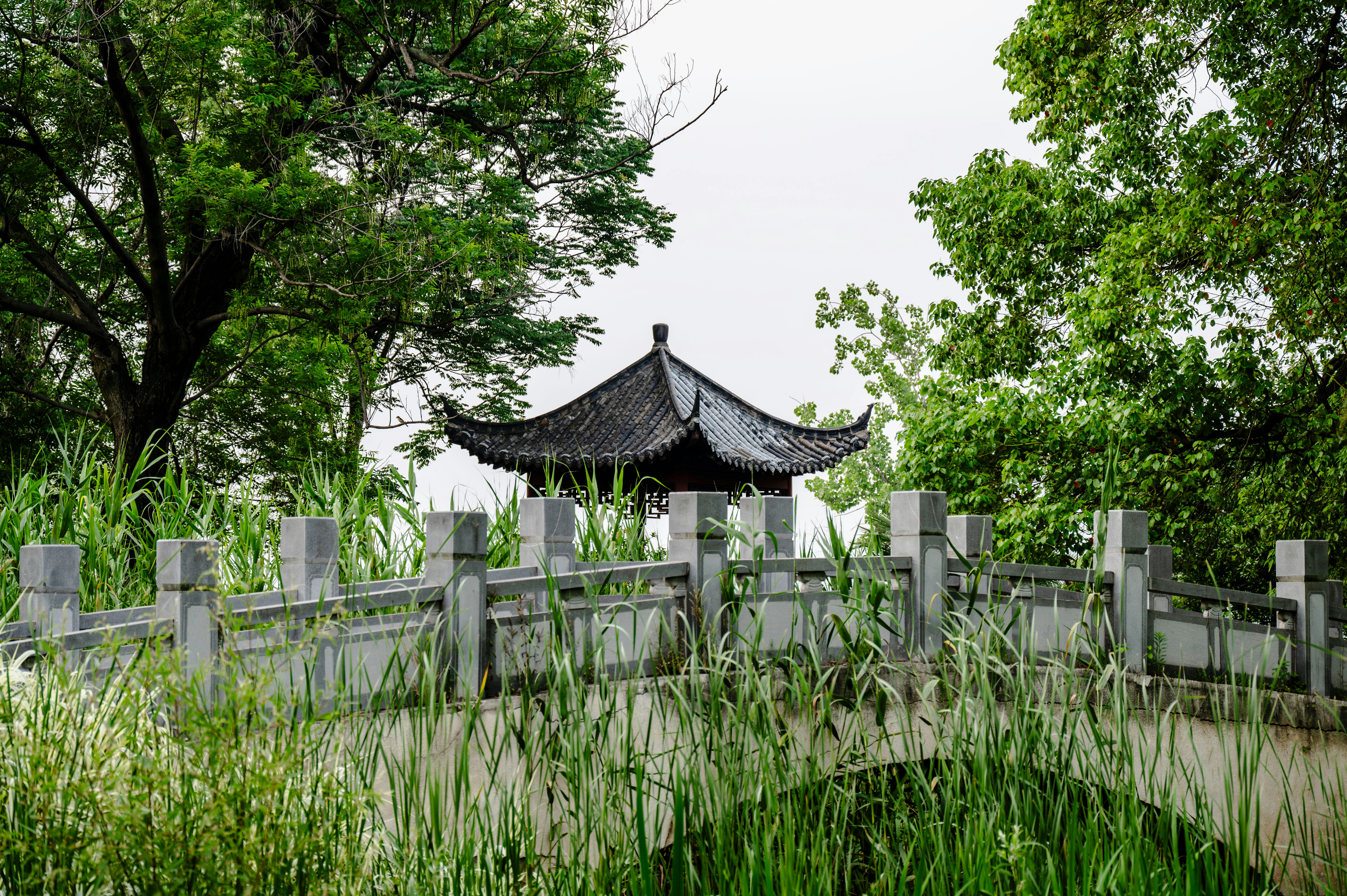 Photo by excellentcx