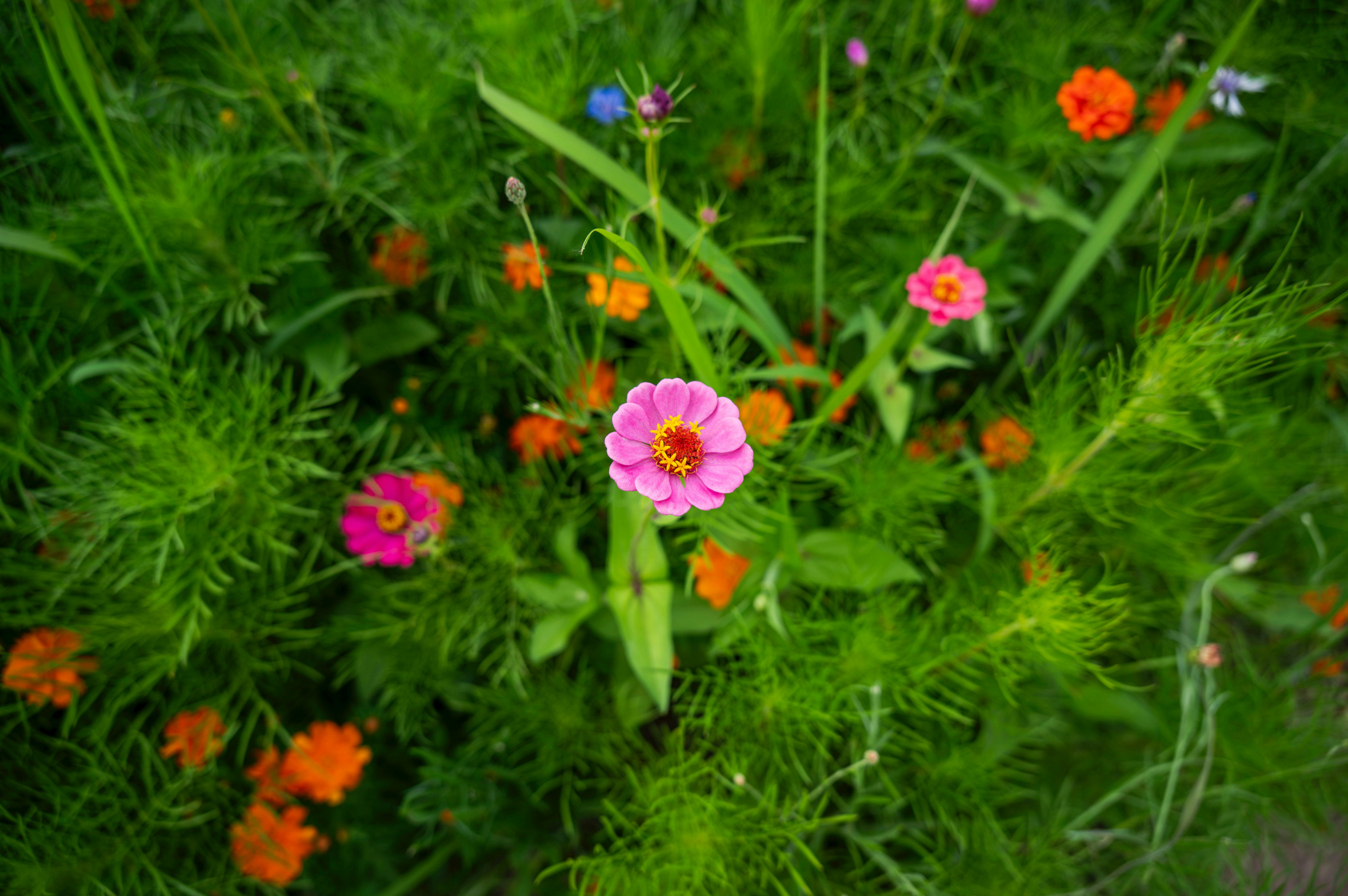 Photo by excellentcx