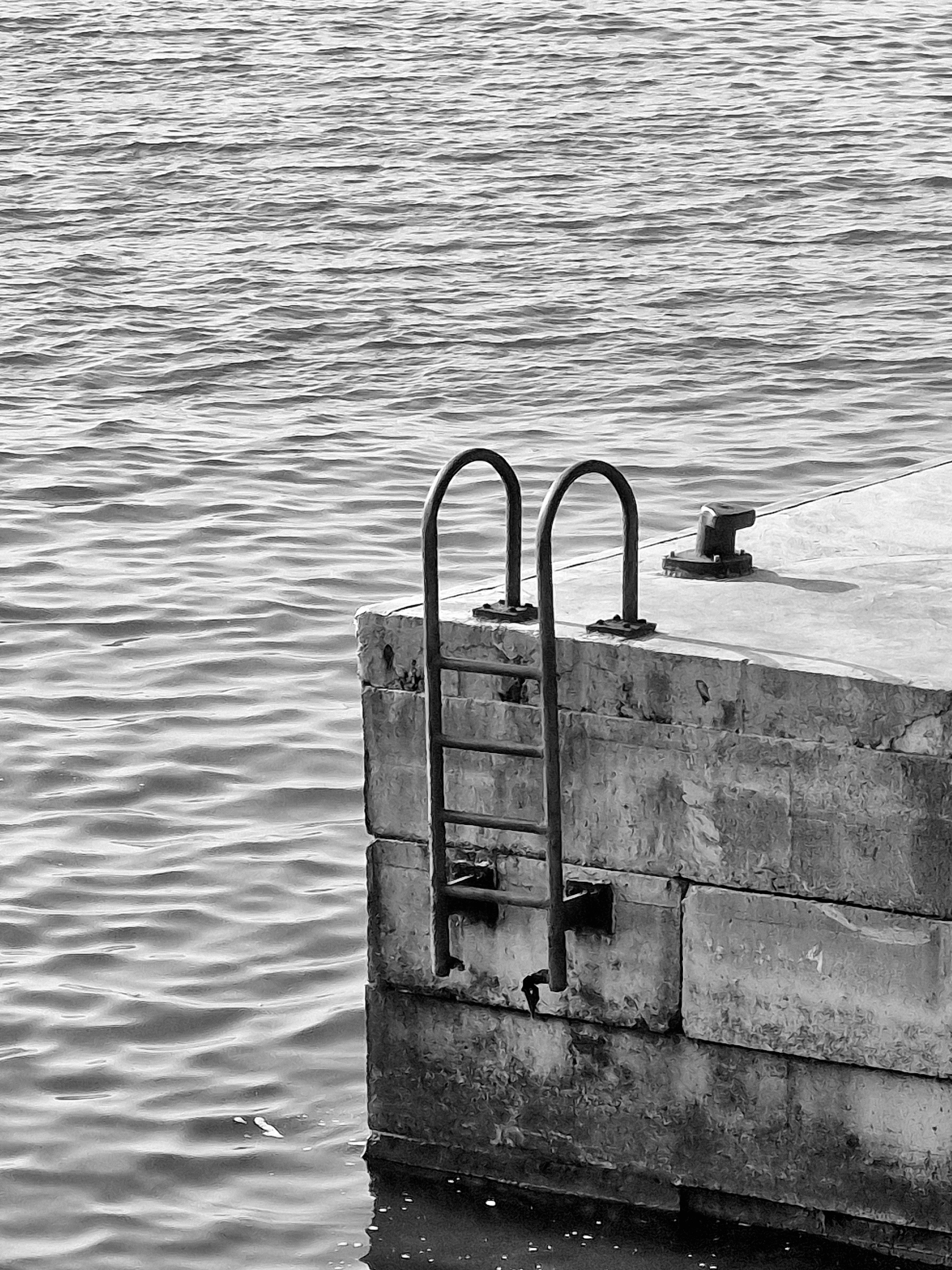 Photo by vafakaramzadegan