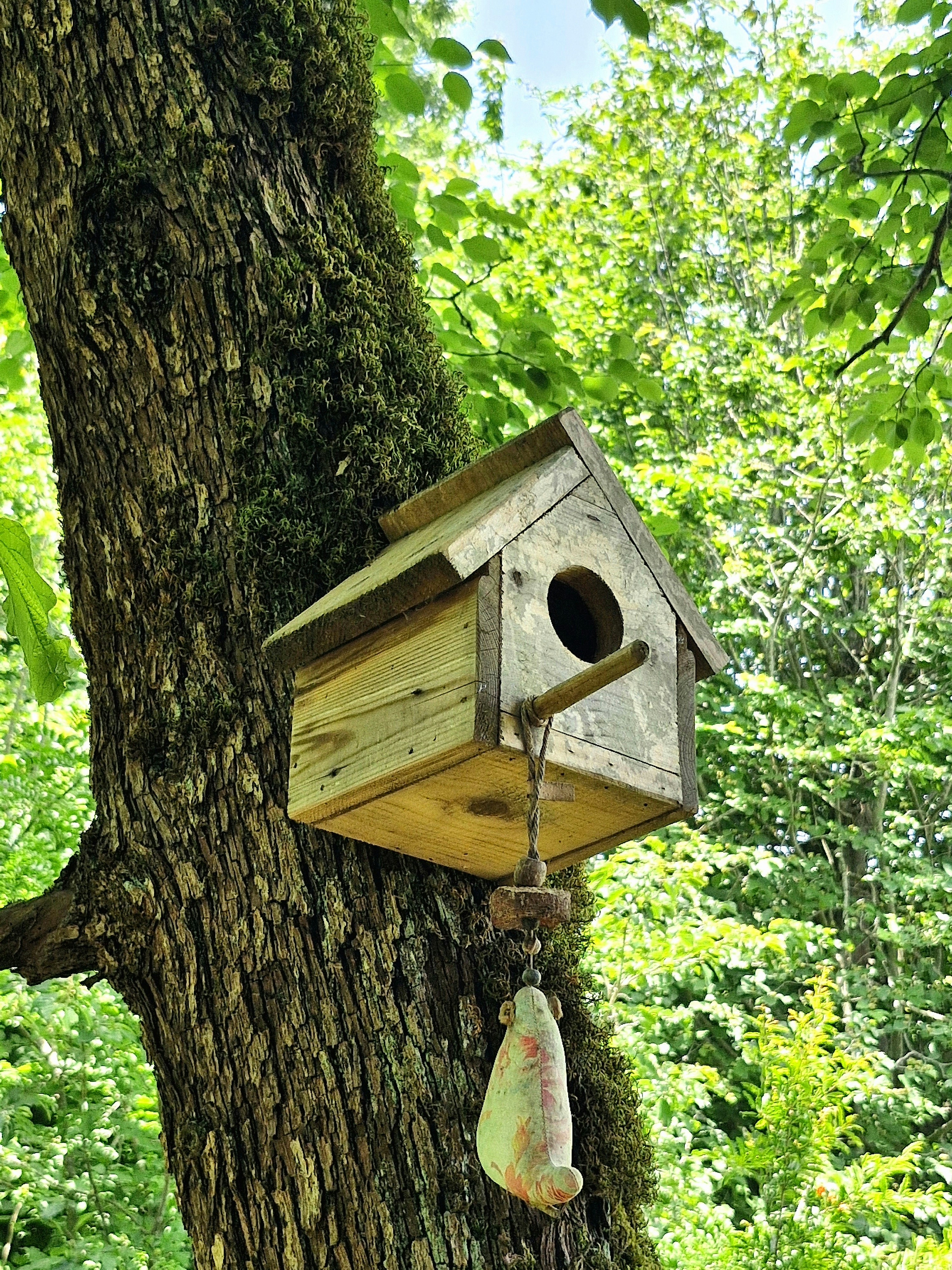 Photo by vafakaramzadegan