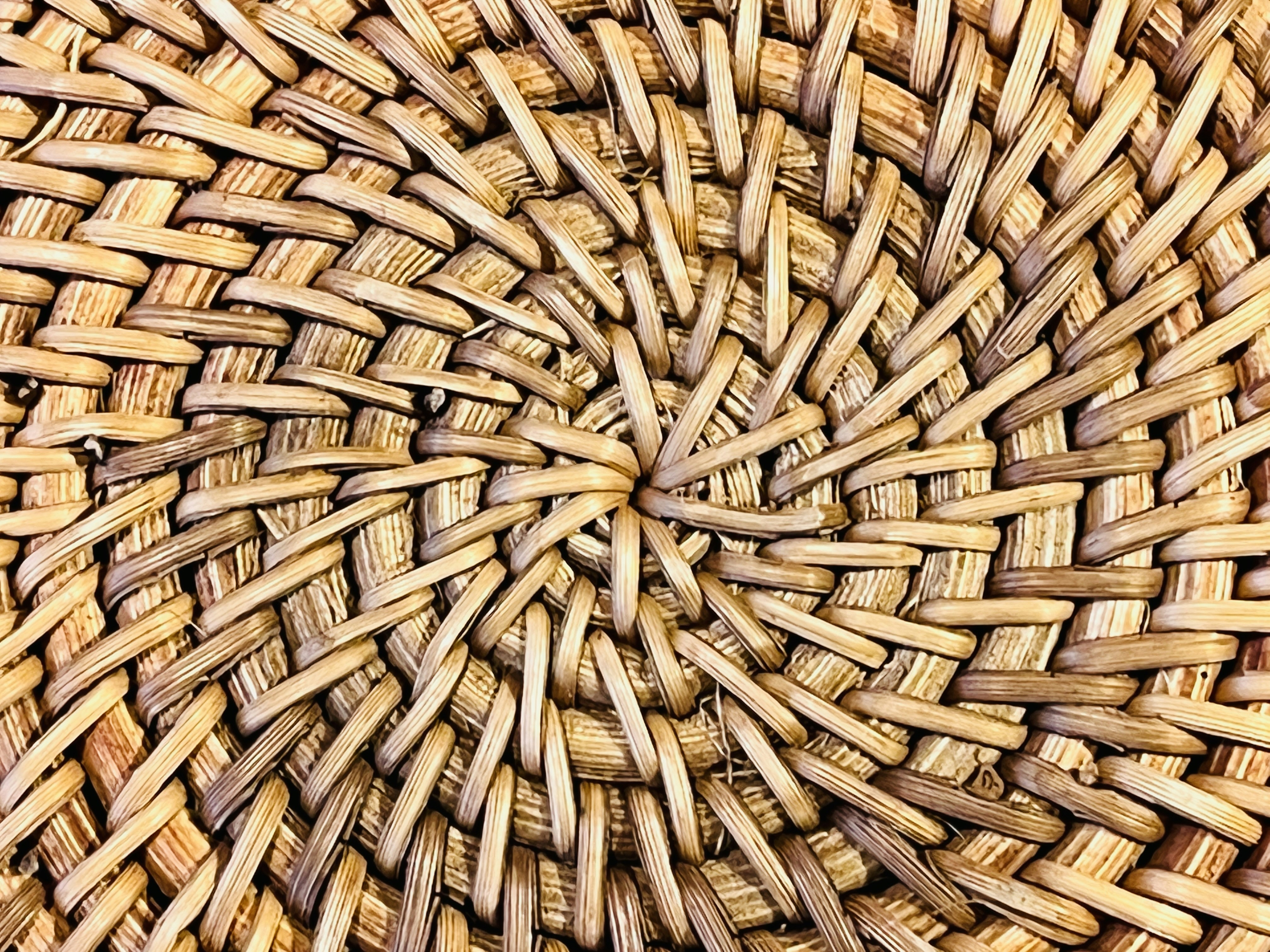 Woven basket filled with harvested gum and seeds, natural textures, earthy colours