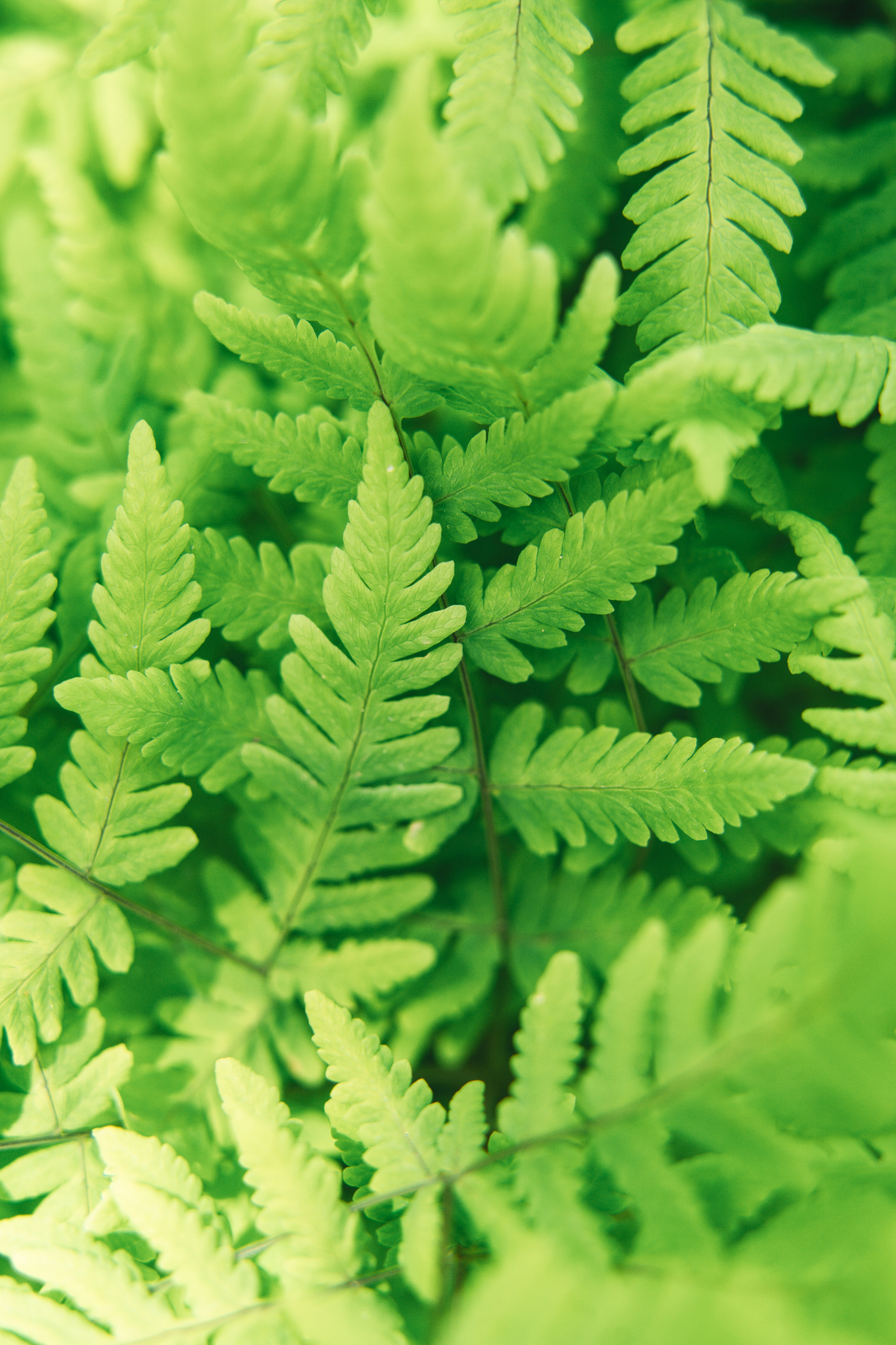 Photo by anamnesis33