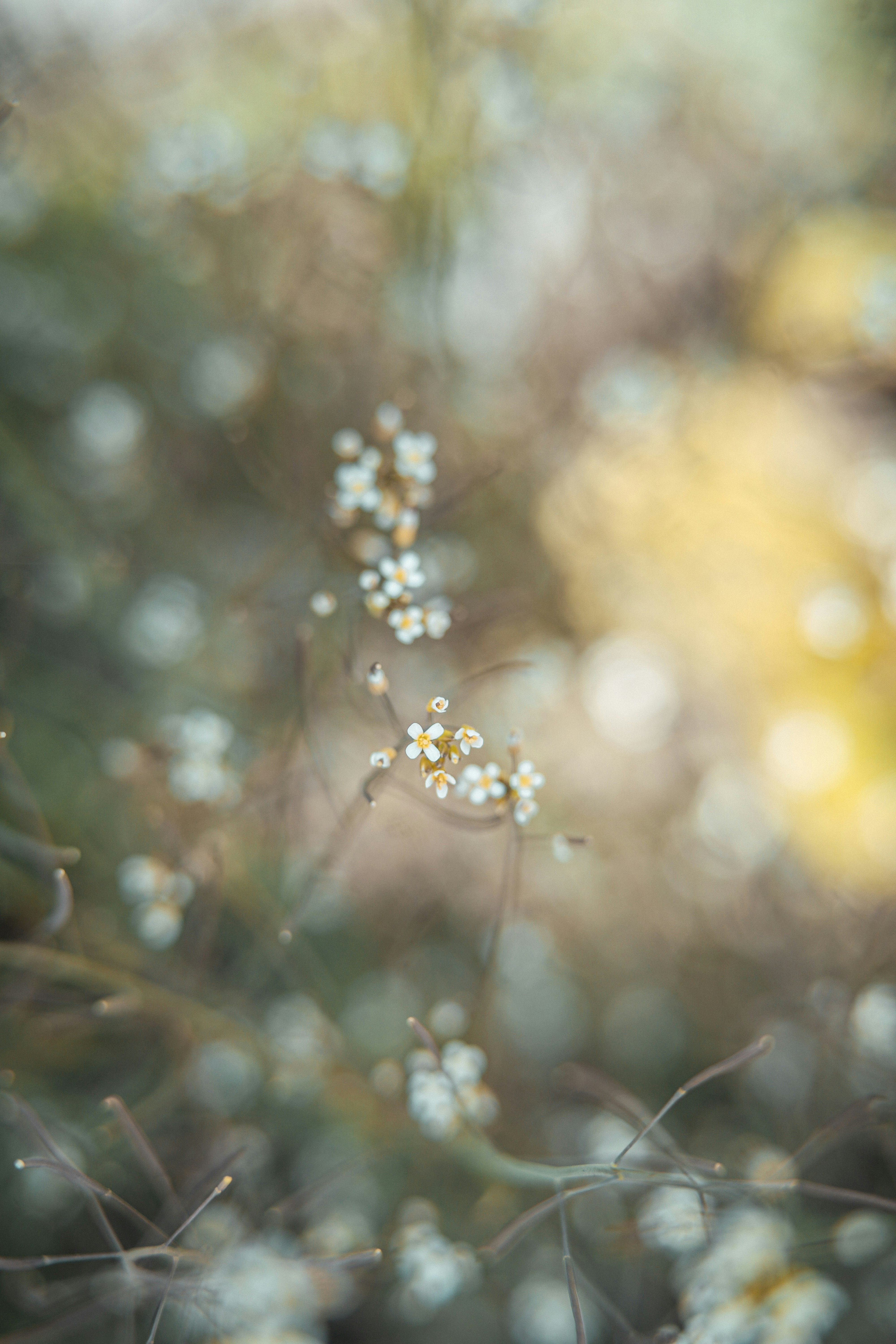 Photo by anamnesis33