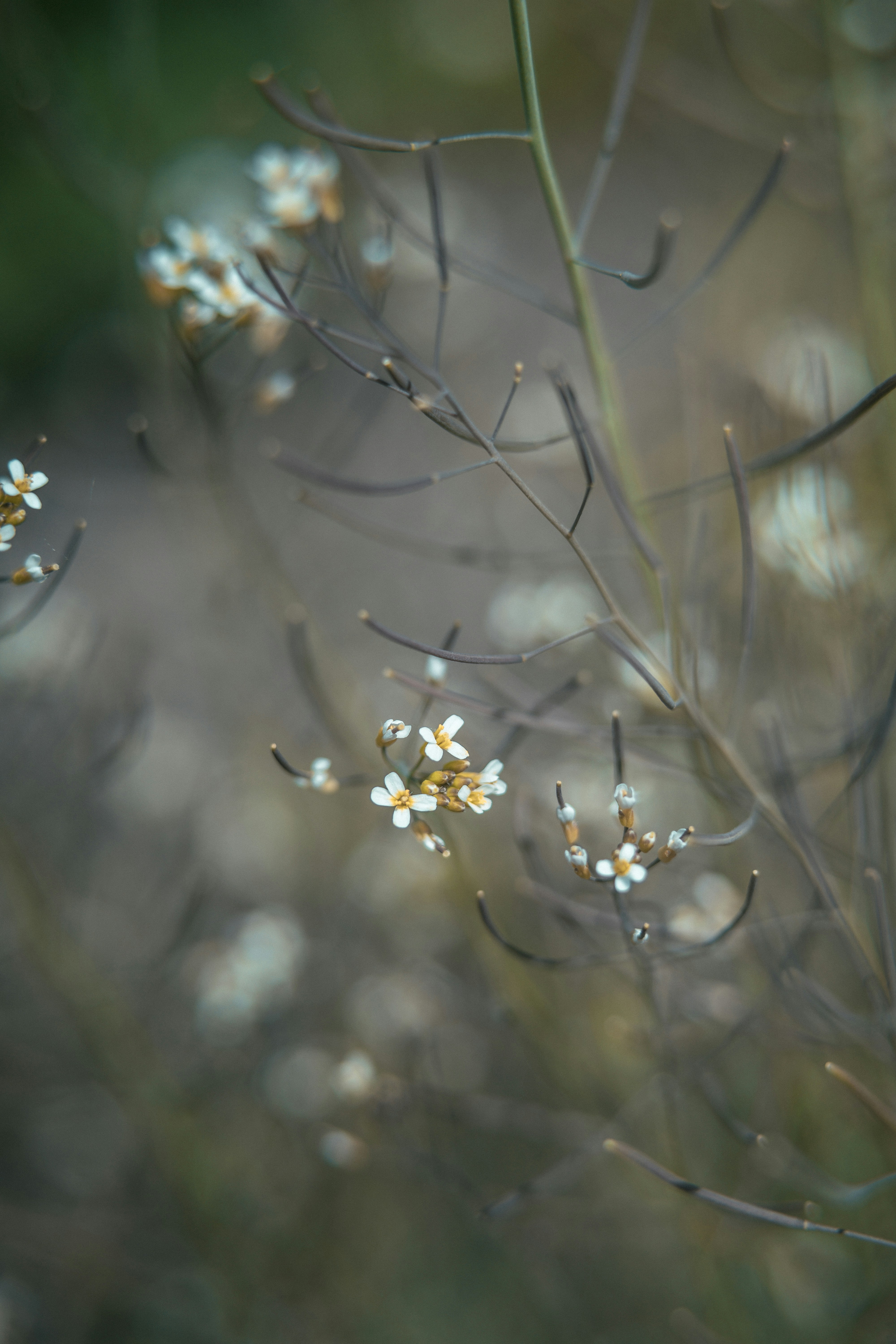 Photo by anamnesis33