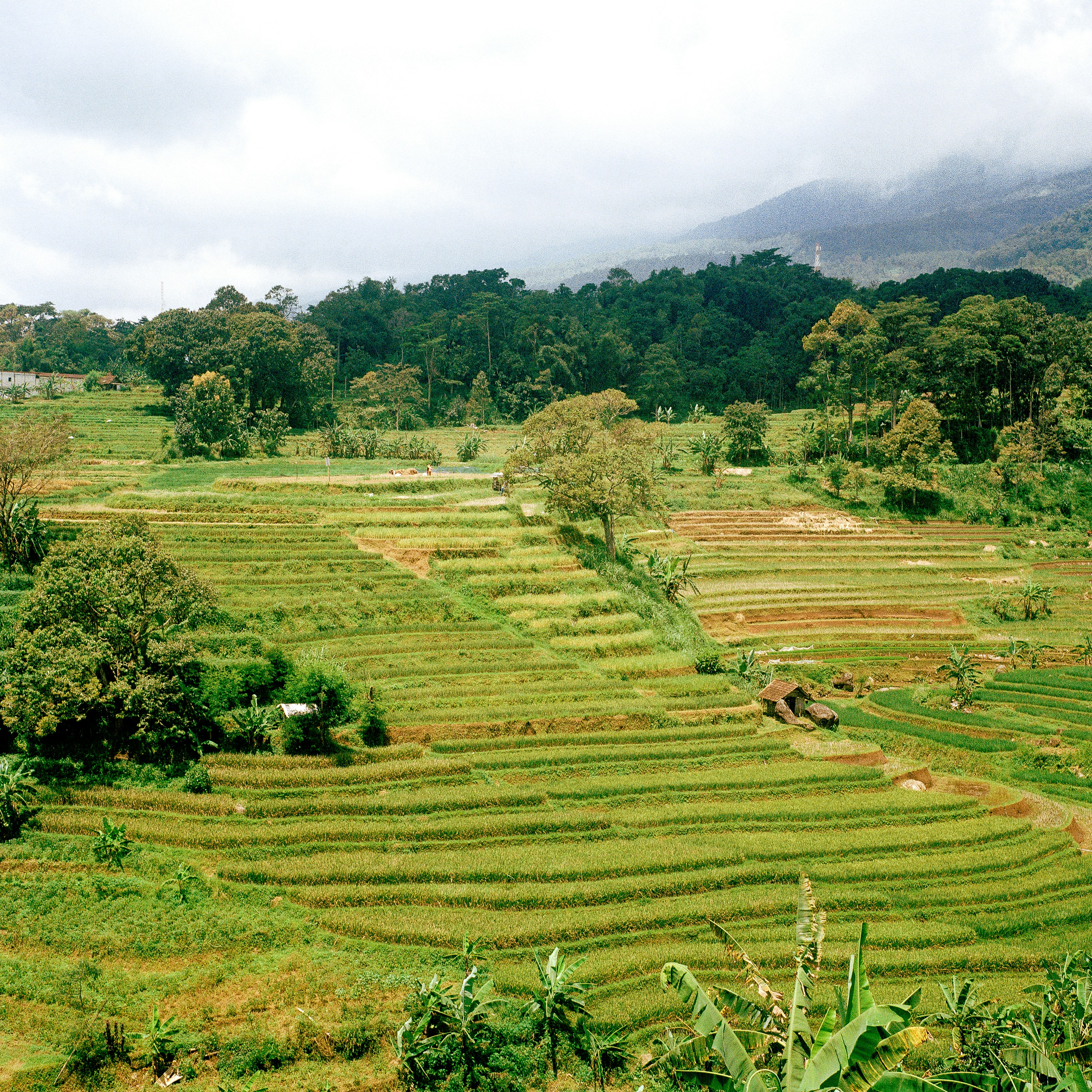 Photo by annoying_salman