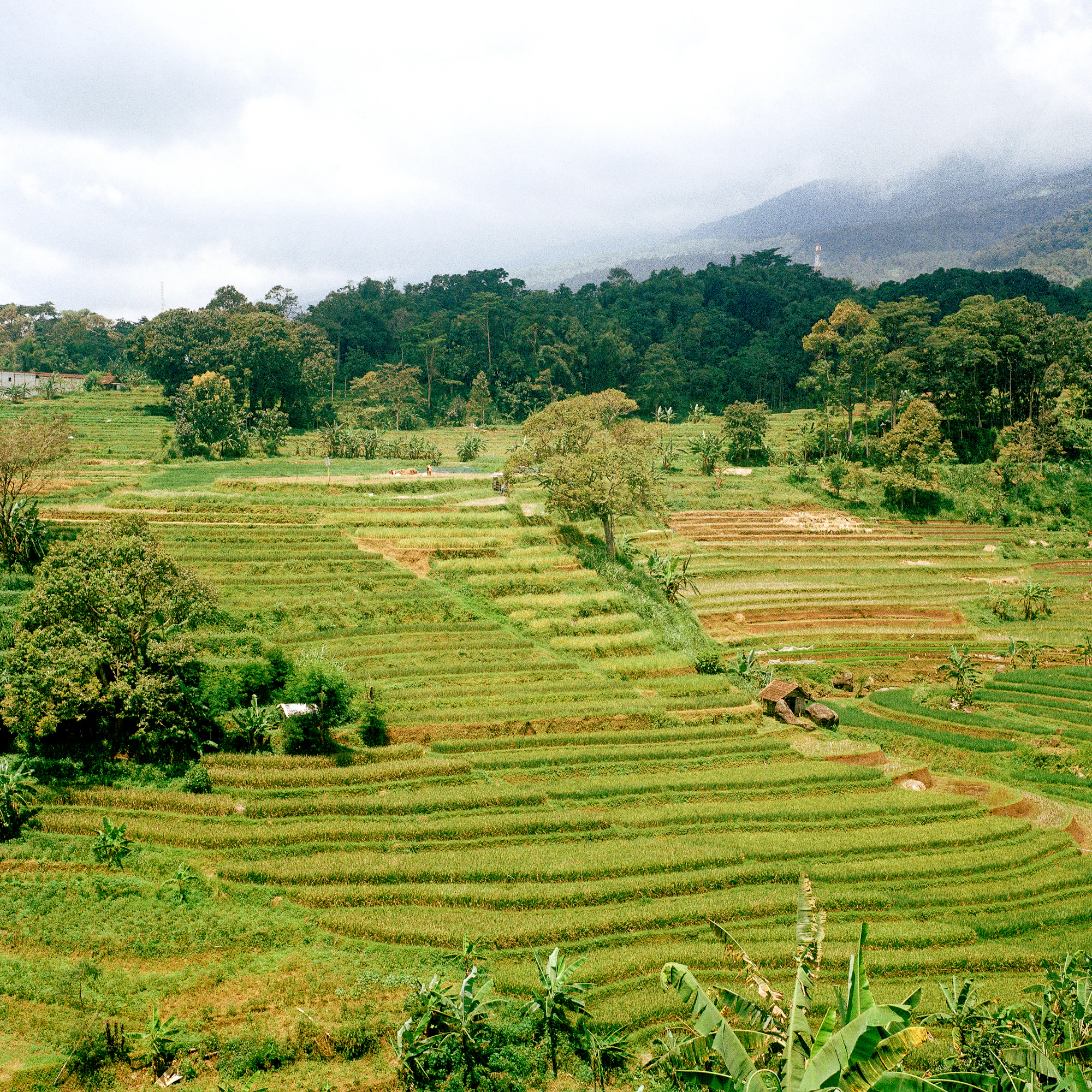 Kampung Seni Tembi