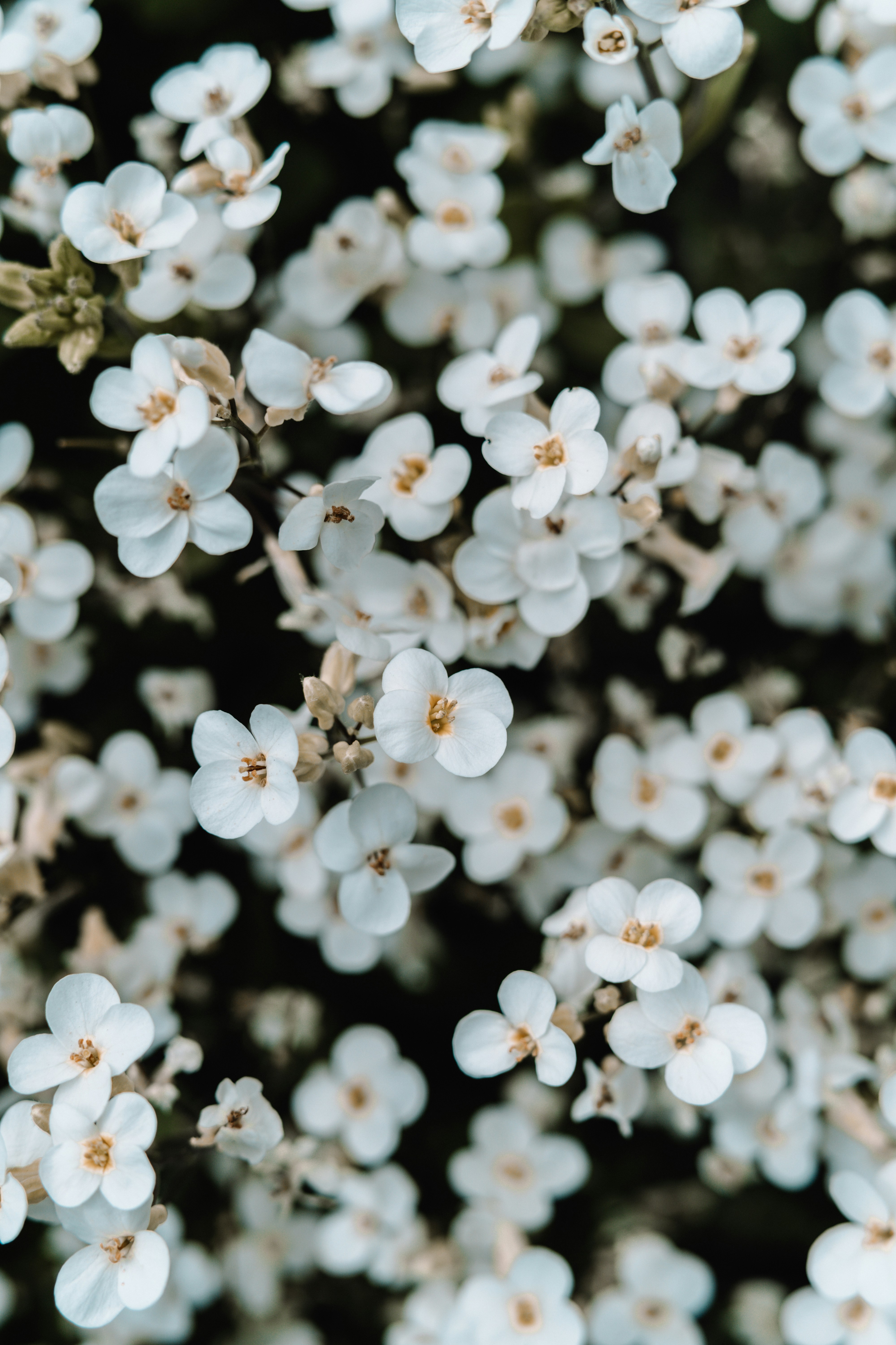 Photo by anamnesis33