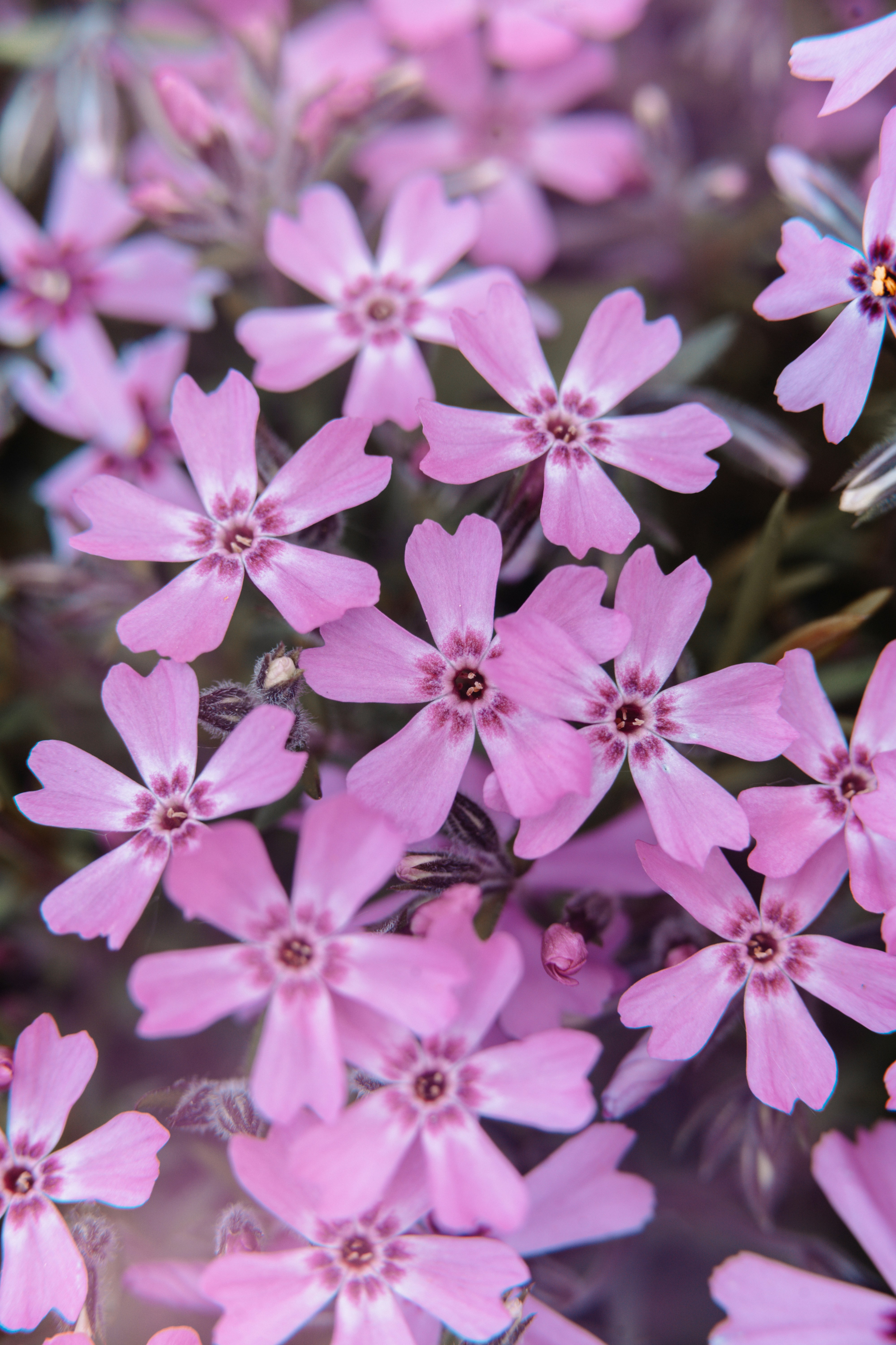 Photo by anamnesis33