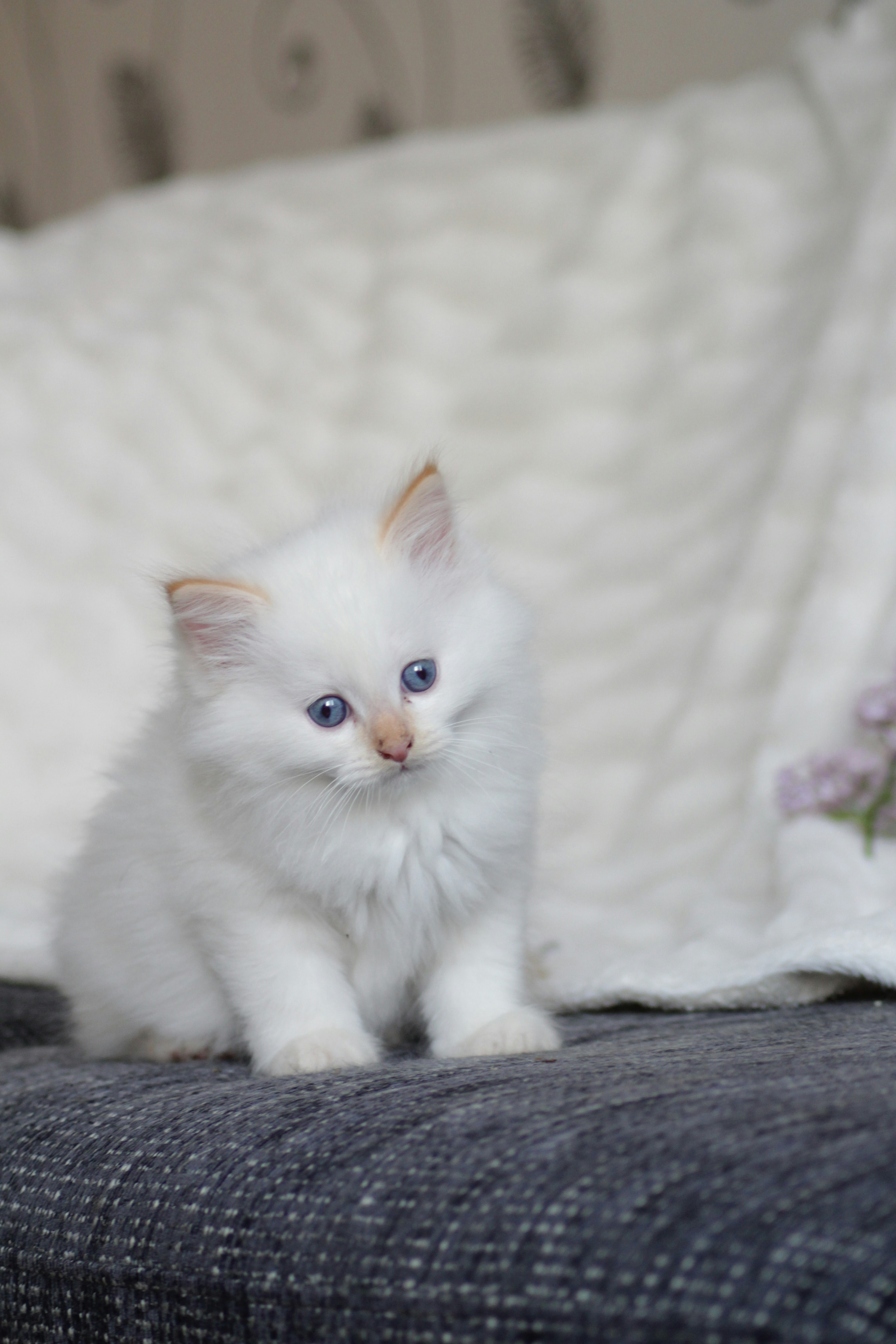 Photo by inahagstrom