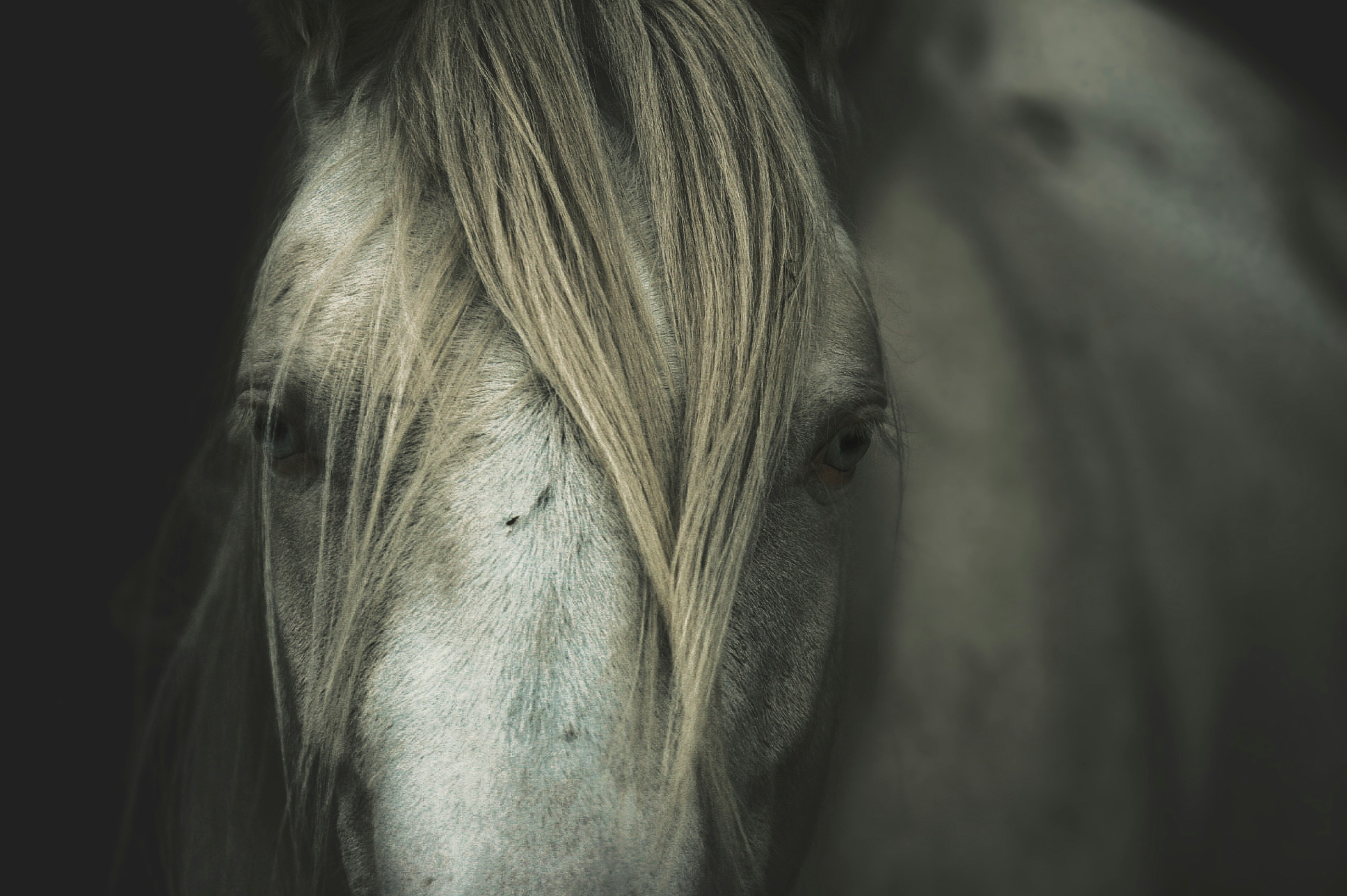 Photo by kristinokarlsen