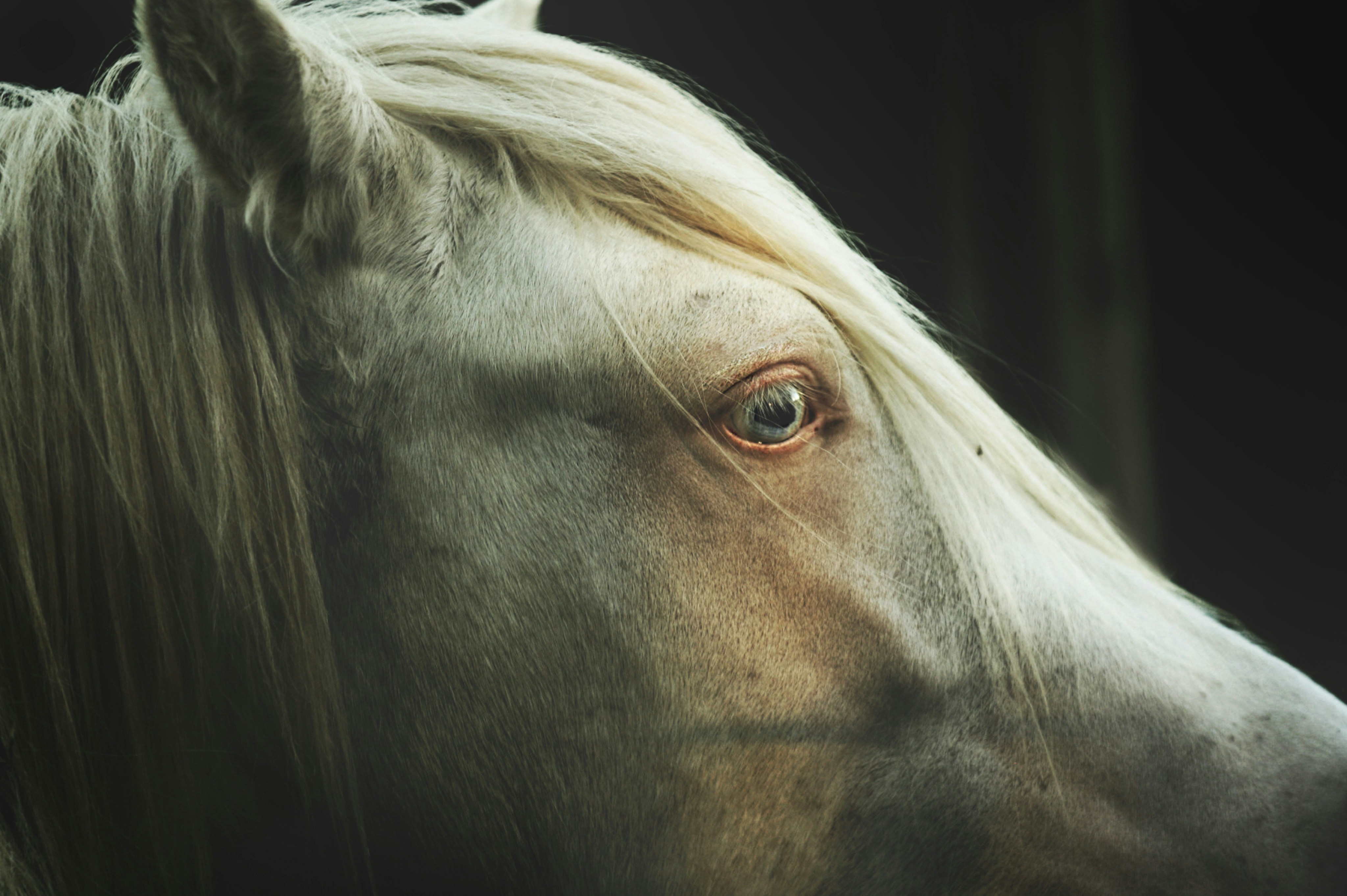 Photo by kristinokarlsen