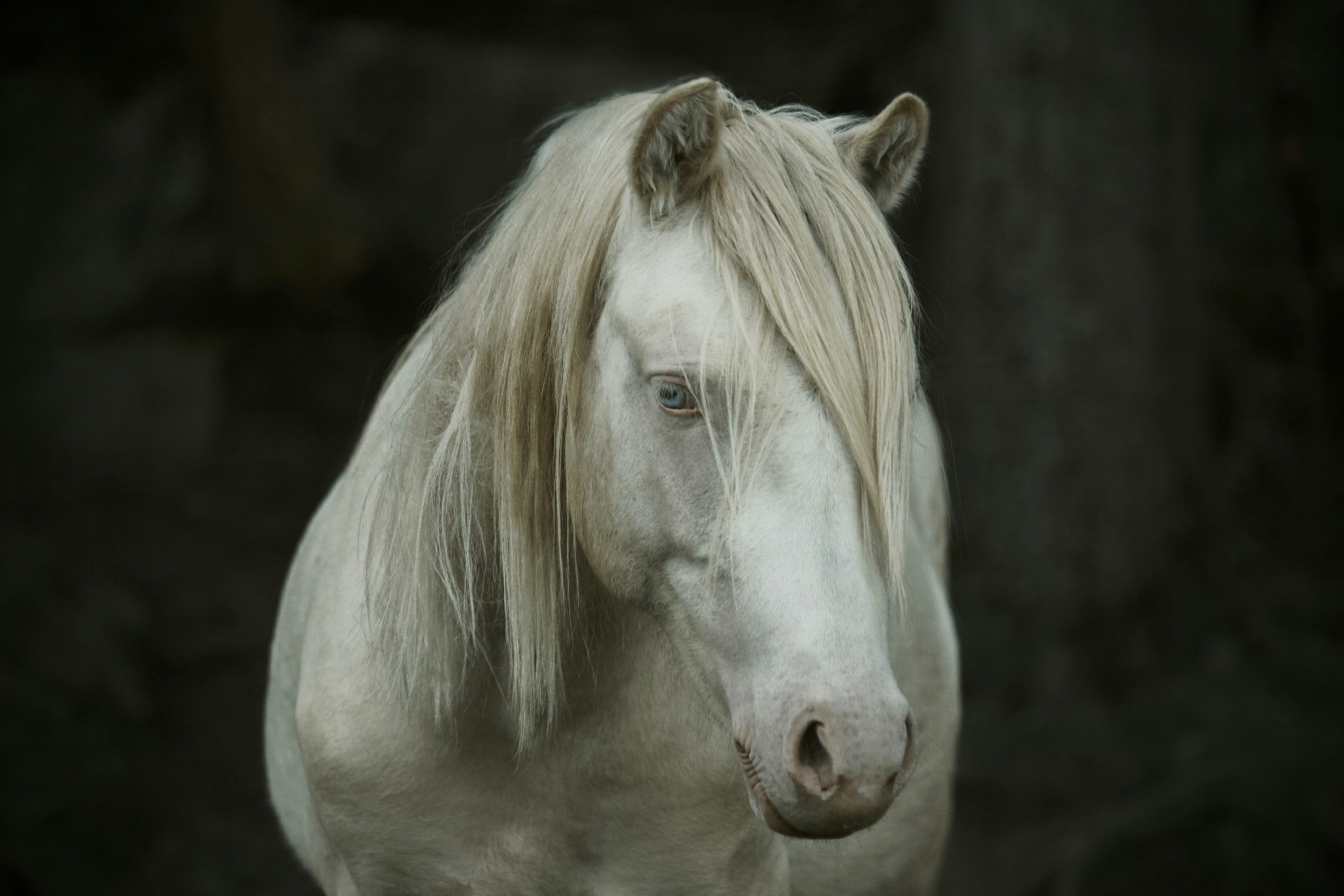 Photo by kristinokarlsen