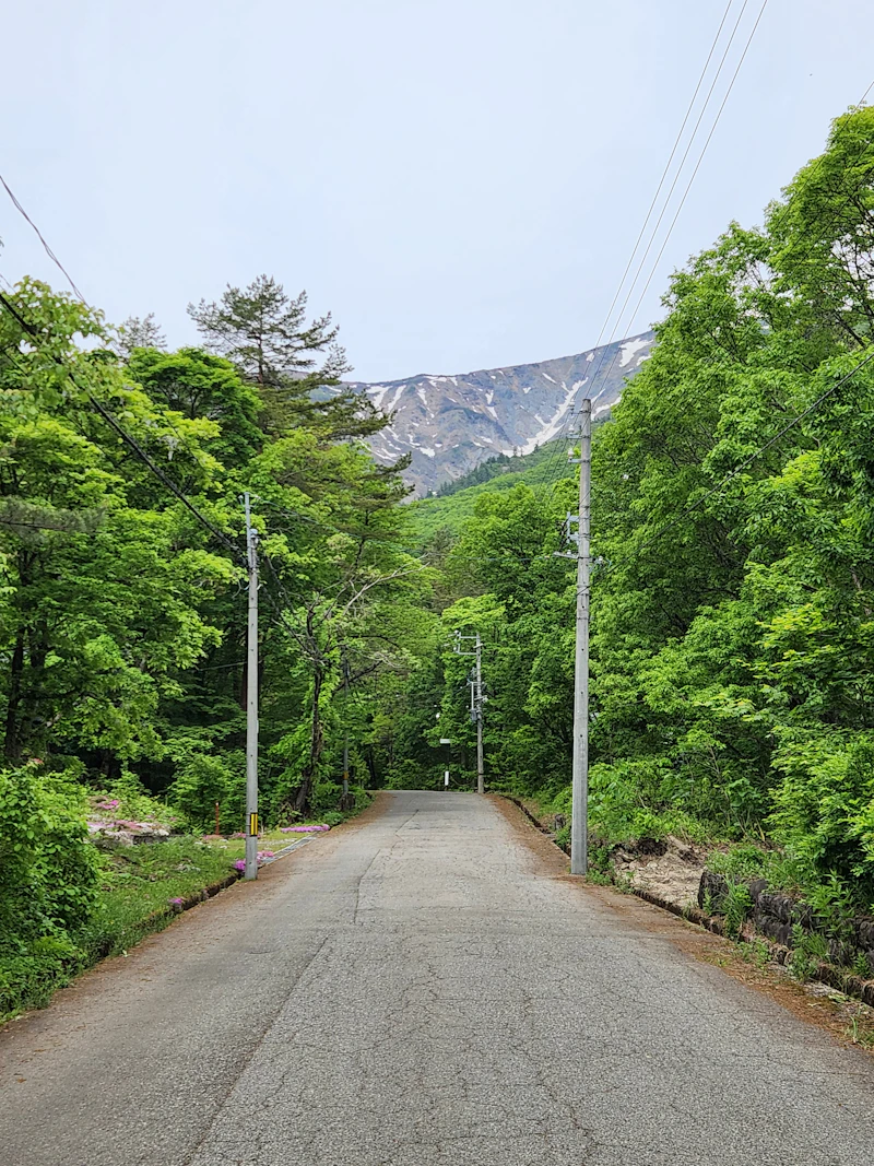 木々と山に囲まれた誰もいない道