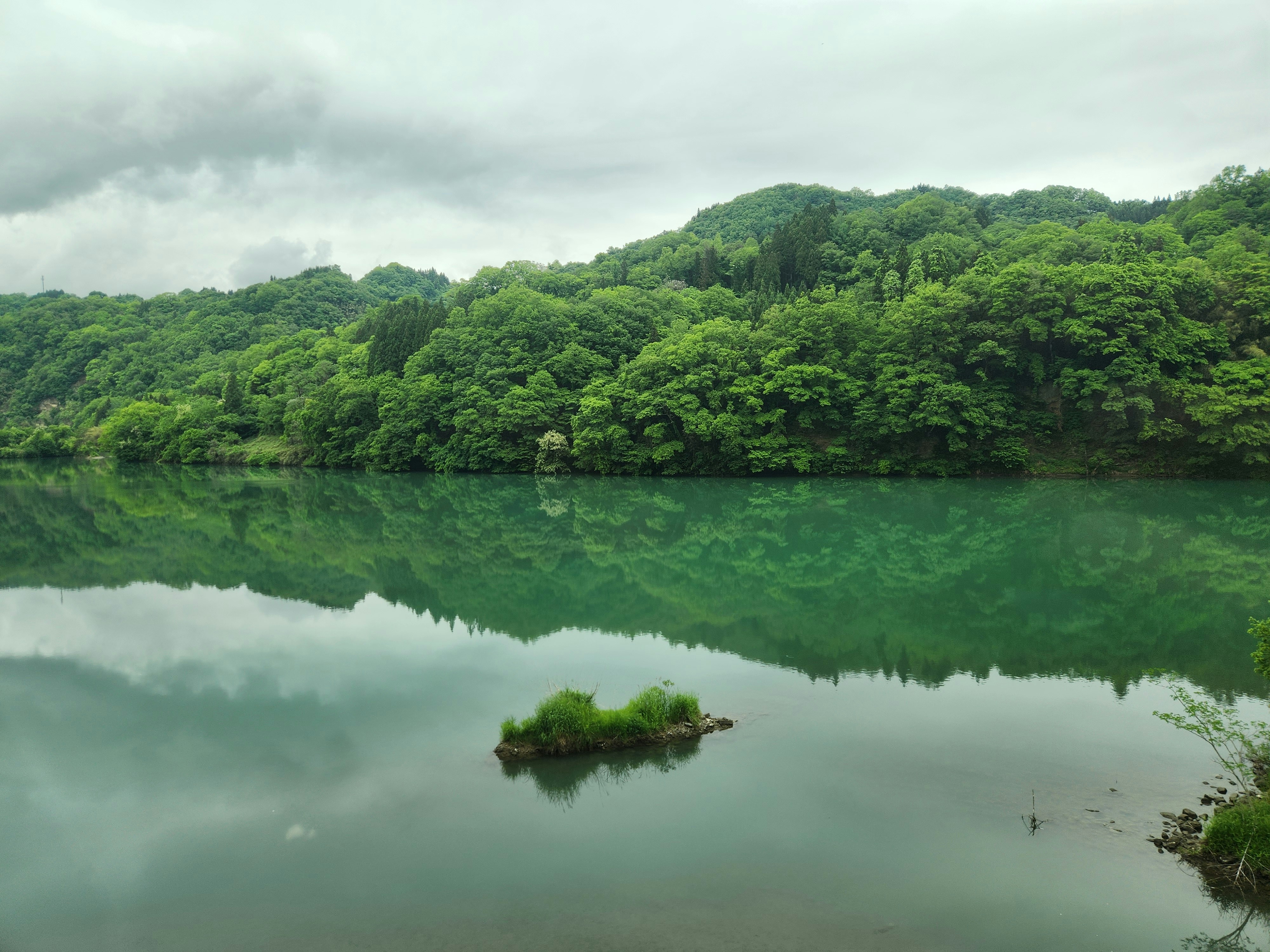 a large body of water surrounded by trees, 