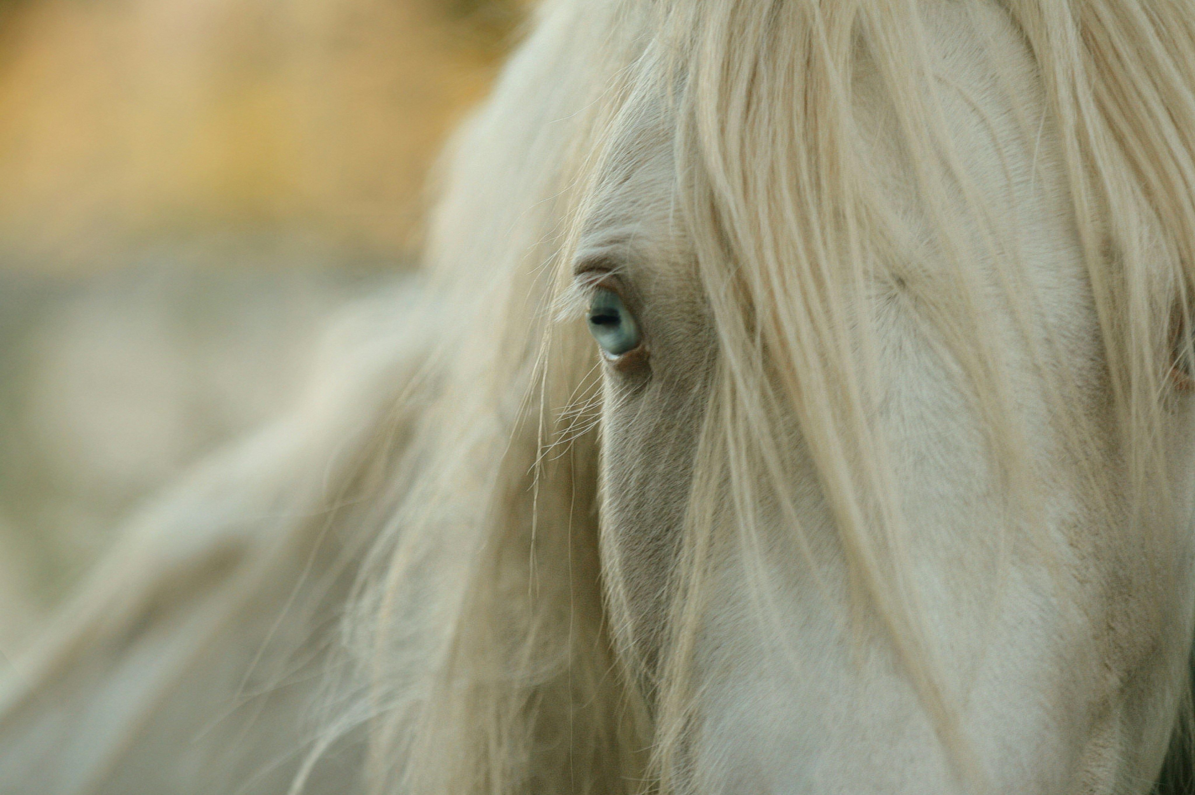 Photo by kristinokarlsen