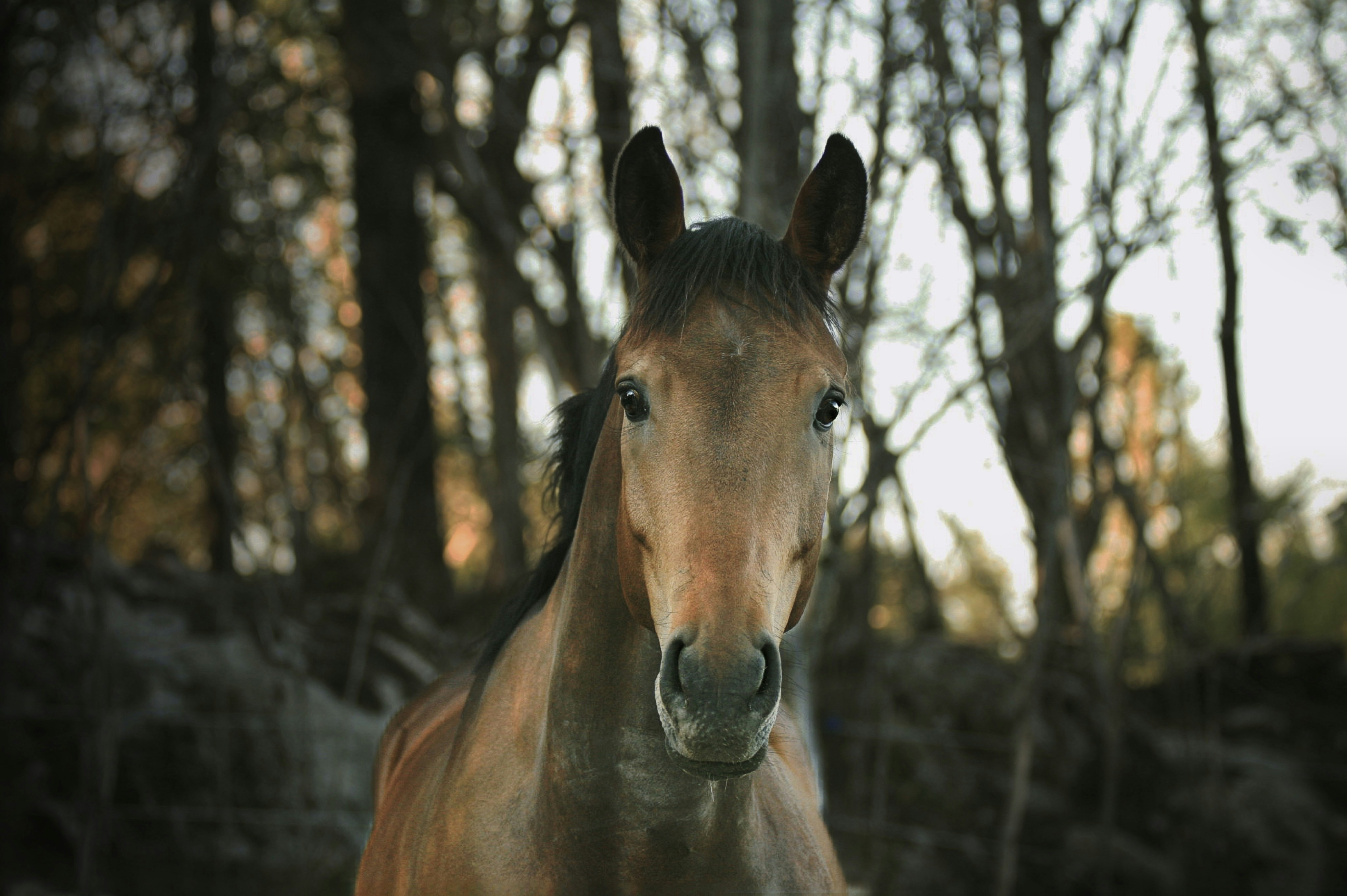 Photo by kristinokarlsen