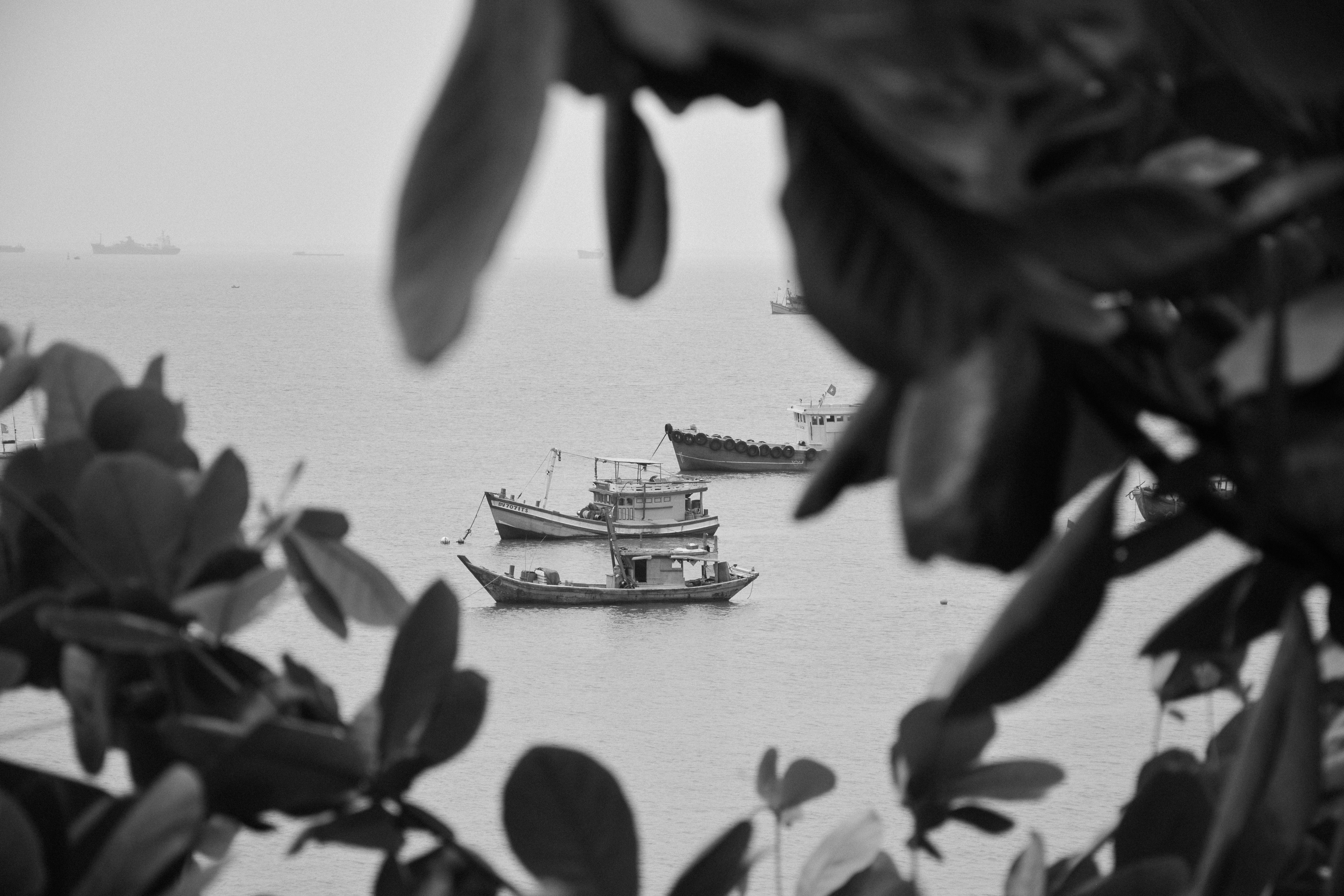 Photo by gunmathilde