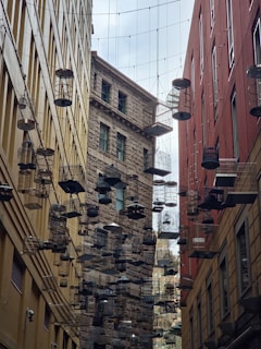 a street with a bunch of plant pots hanging from the side of buildings