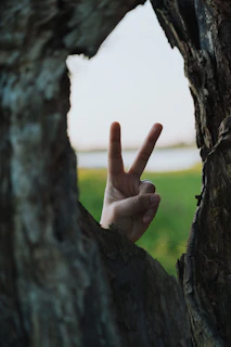 a person making a peace sign through a hole in a tree