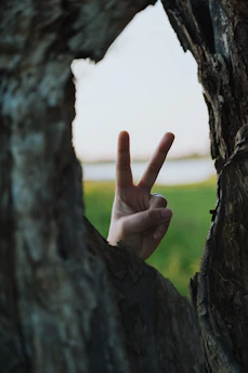 a person making a peace sign through a hole in a tree