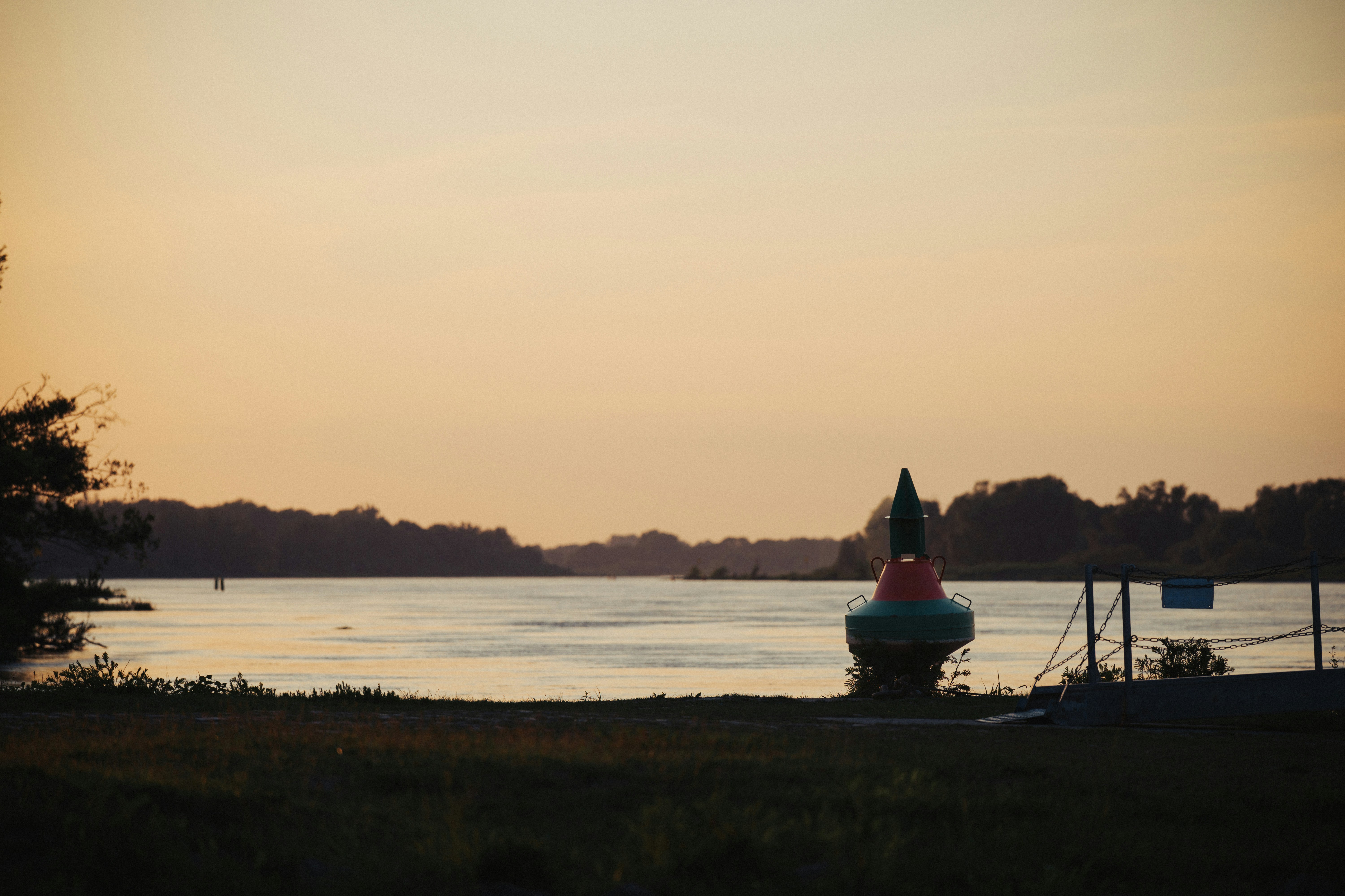a large body of water sitting next to a forest