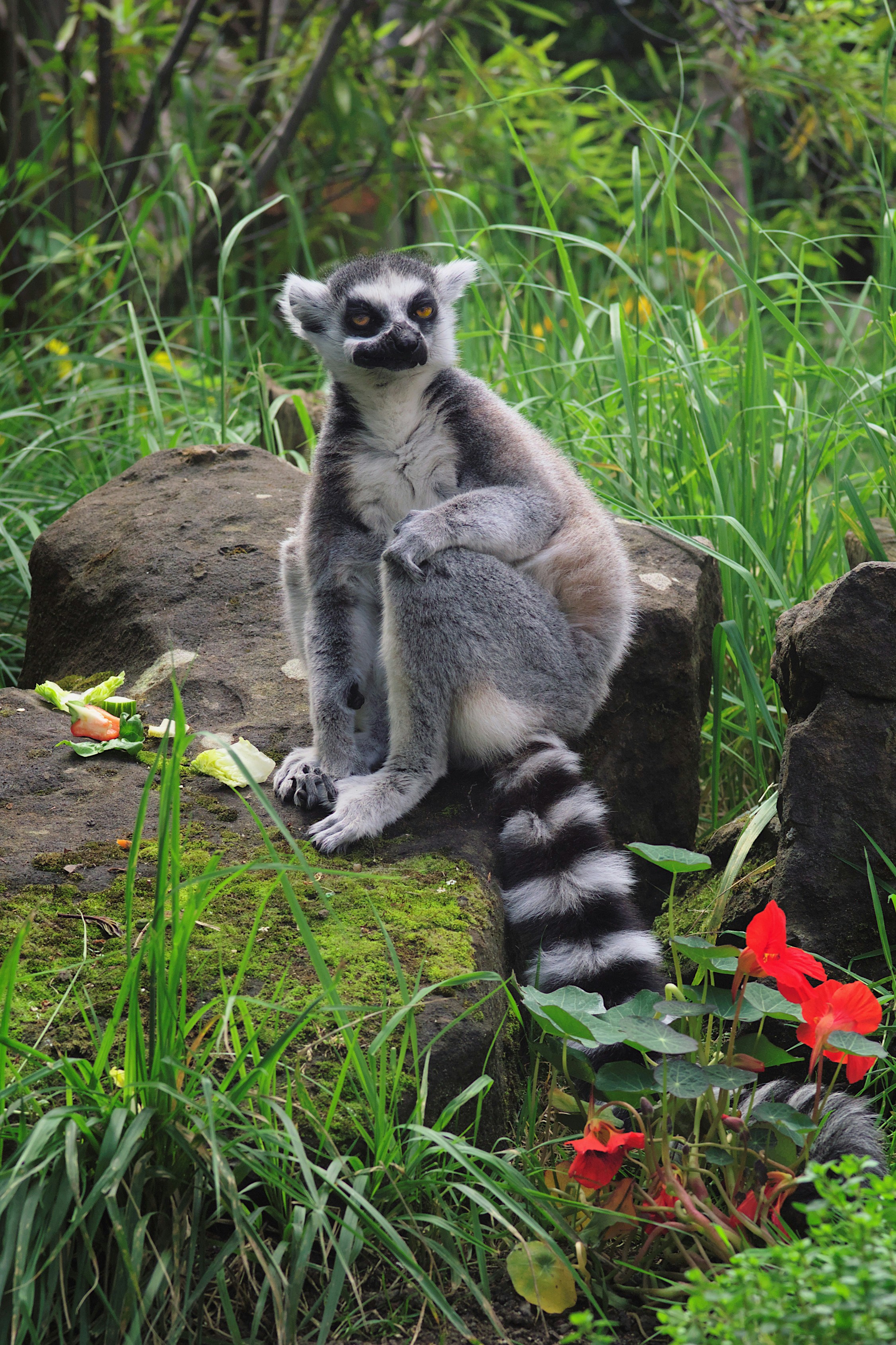 Photo by trousers2000