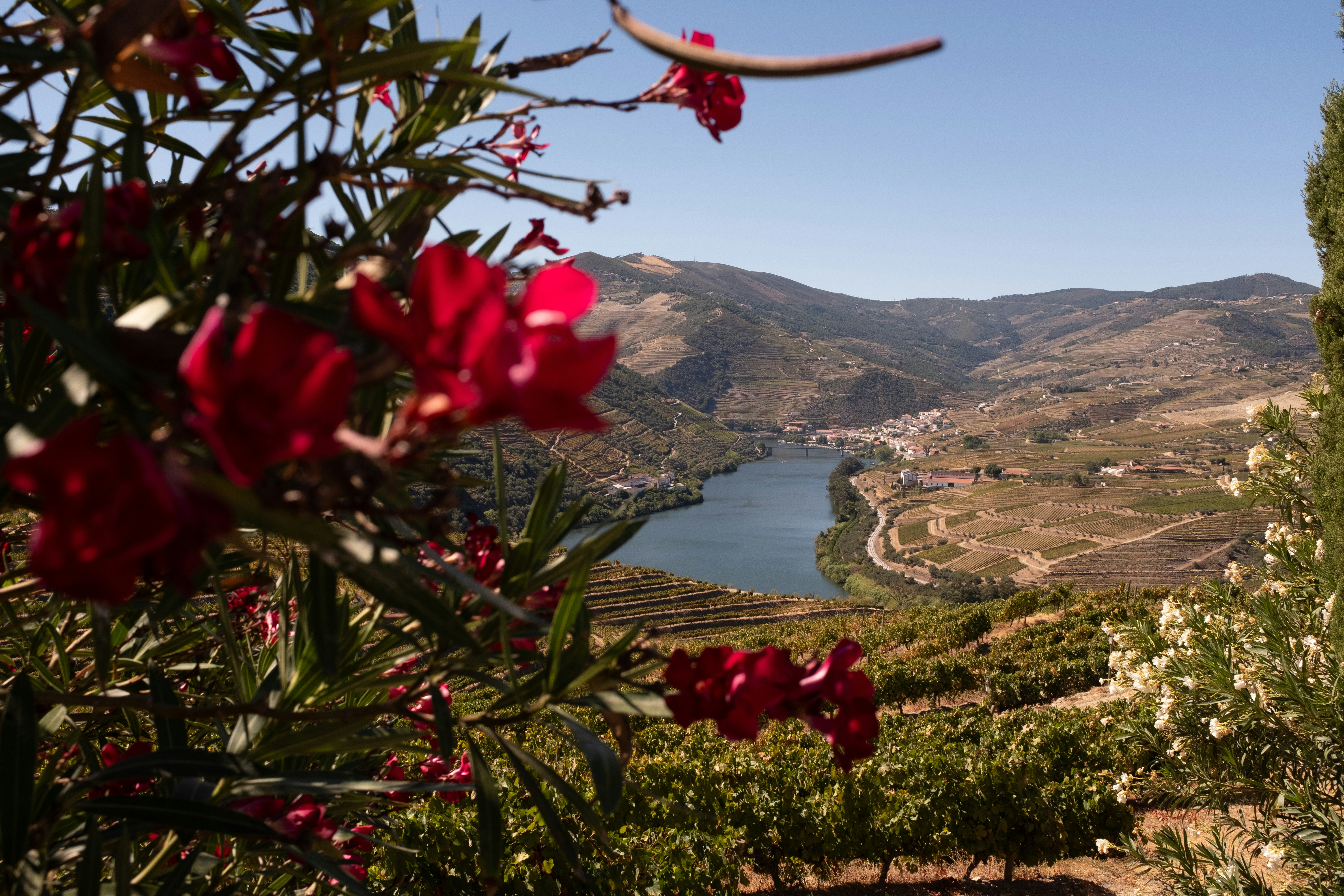 Douro Valley travel photo