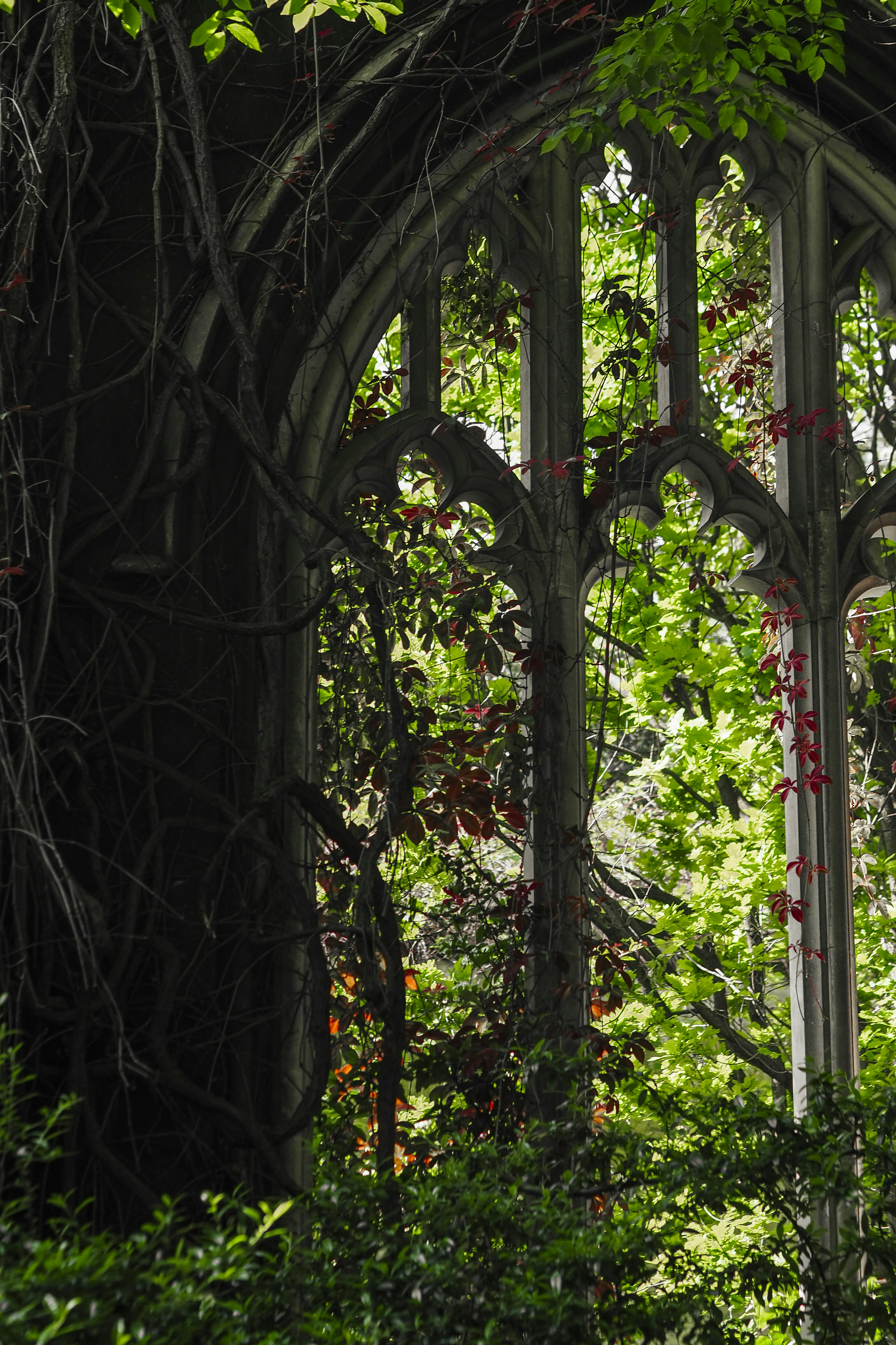 Photo by laurachouette