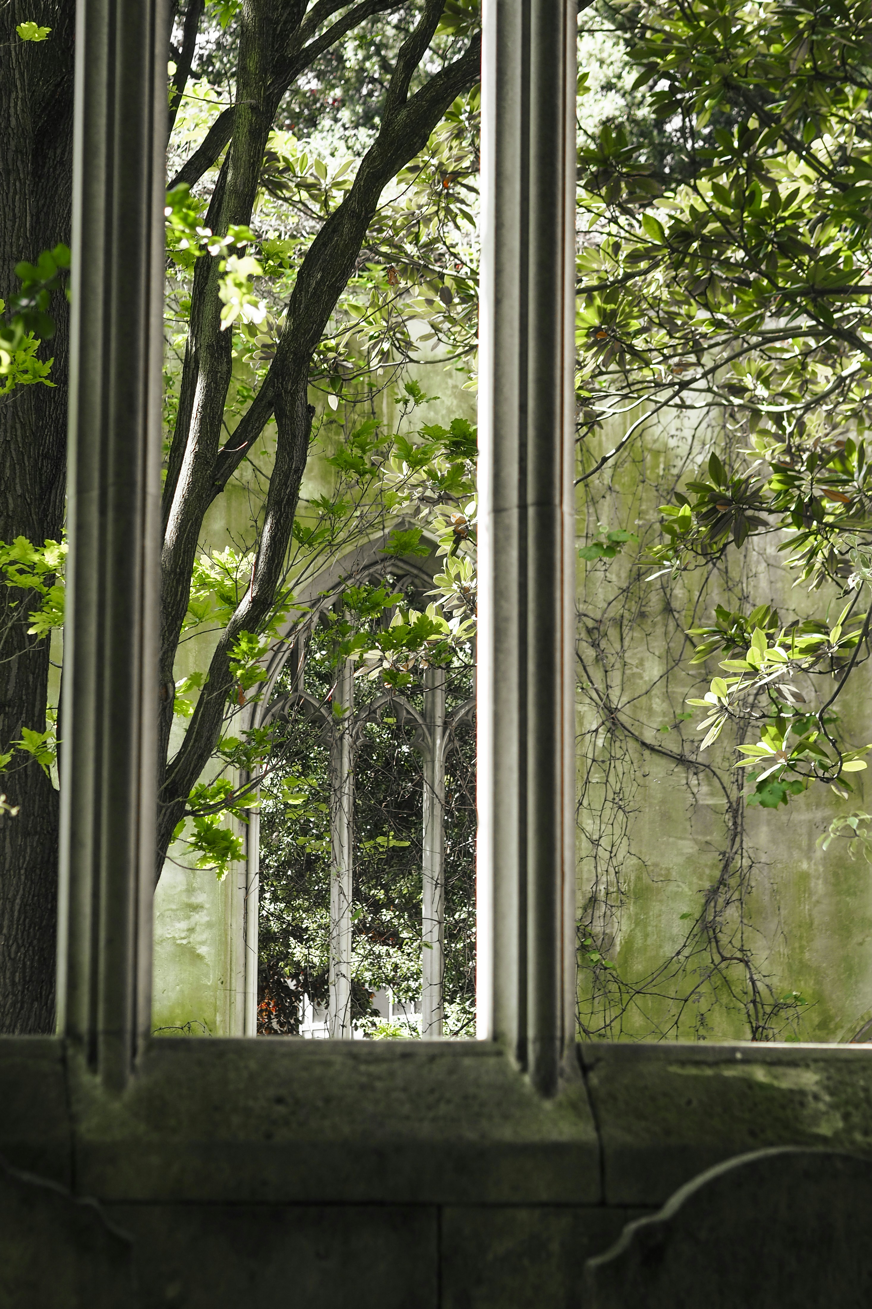 Photo by laurachouette