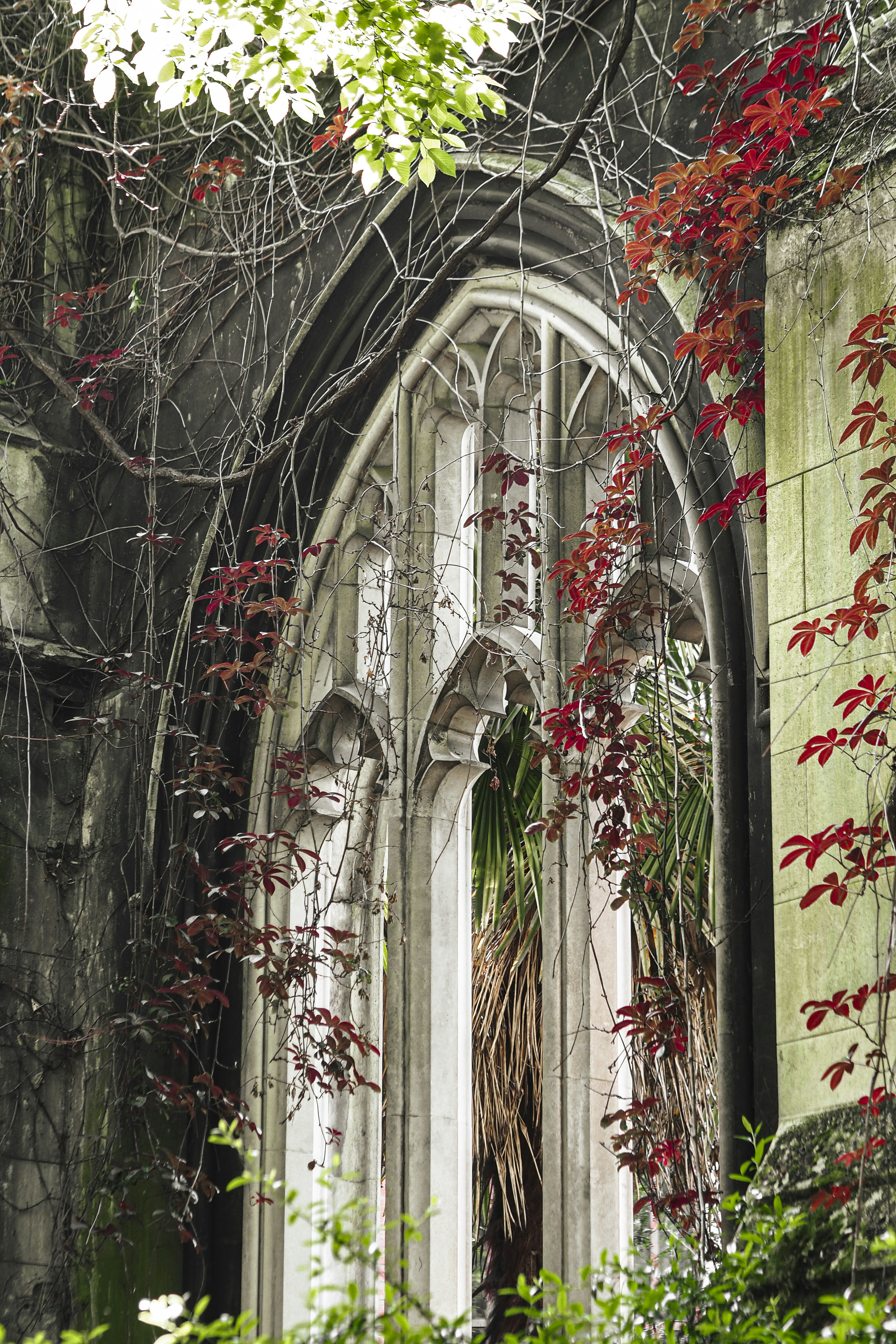 Photo by laurachouette