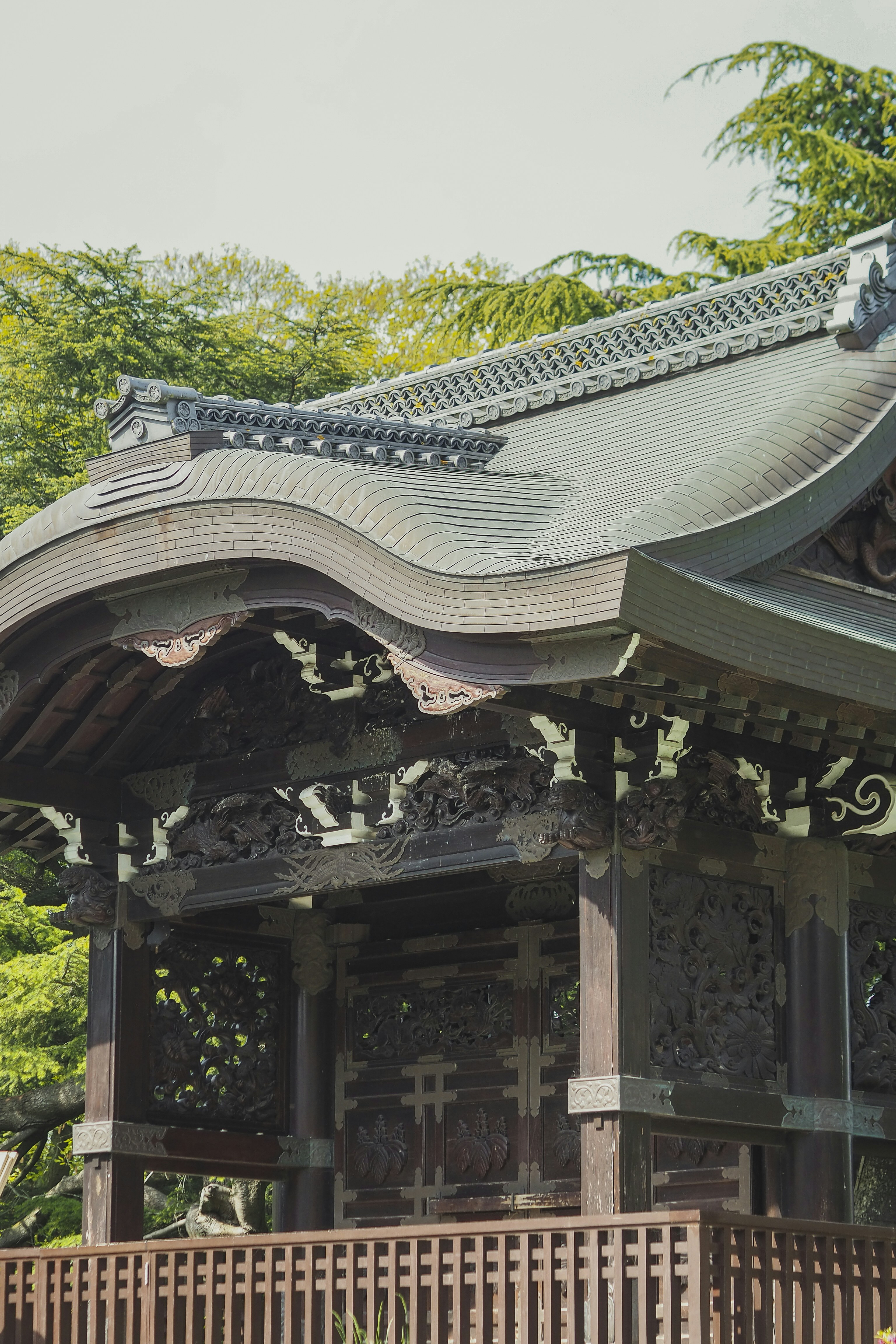 Photo by laurachouette